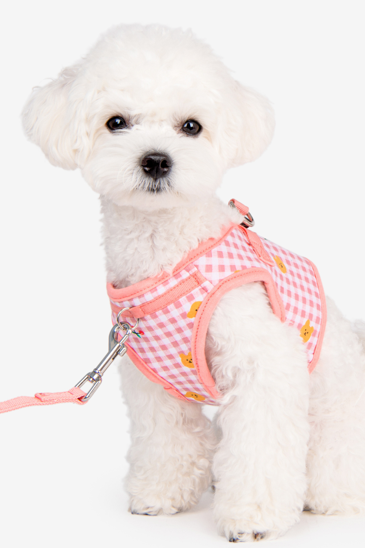 Baba Harness B Köpek Göğüs Tasması Pembe 