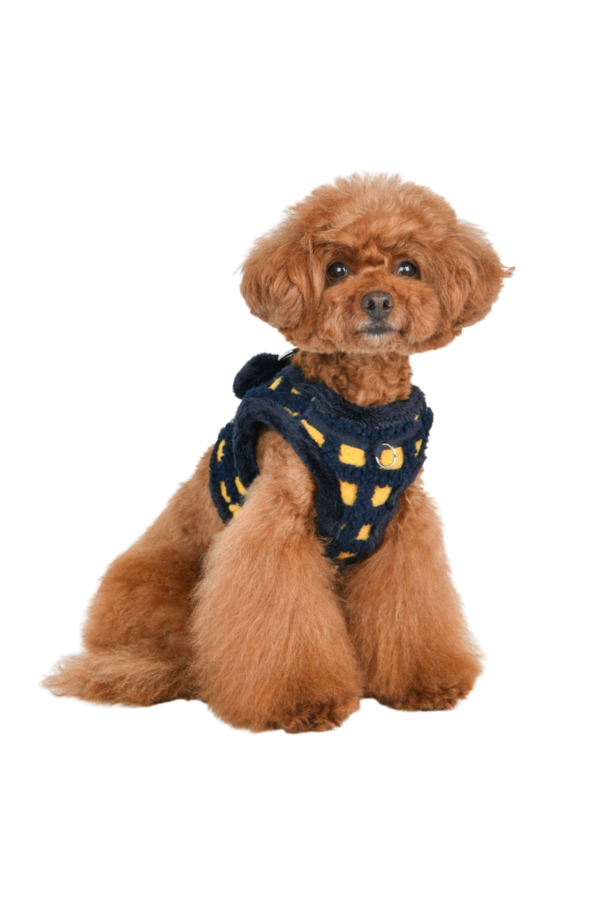 Puppia Stefan Köpek Göğüs Tasması - Lacivert