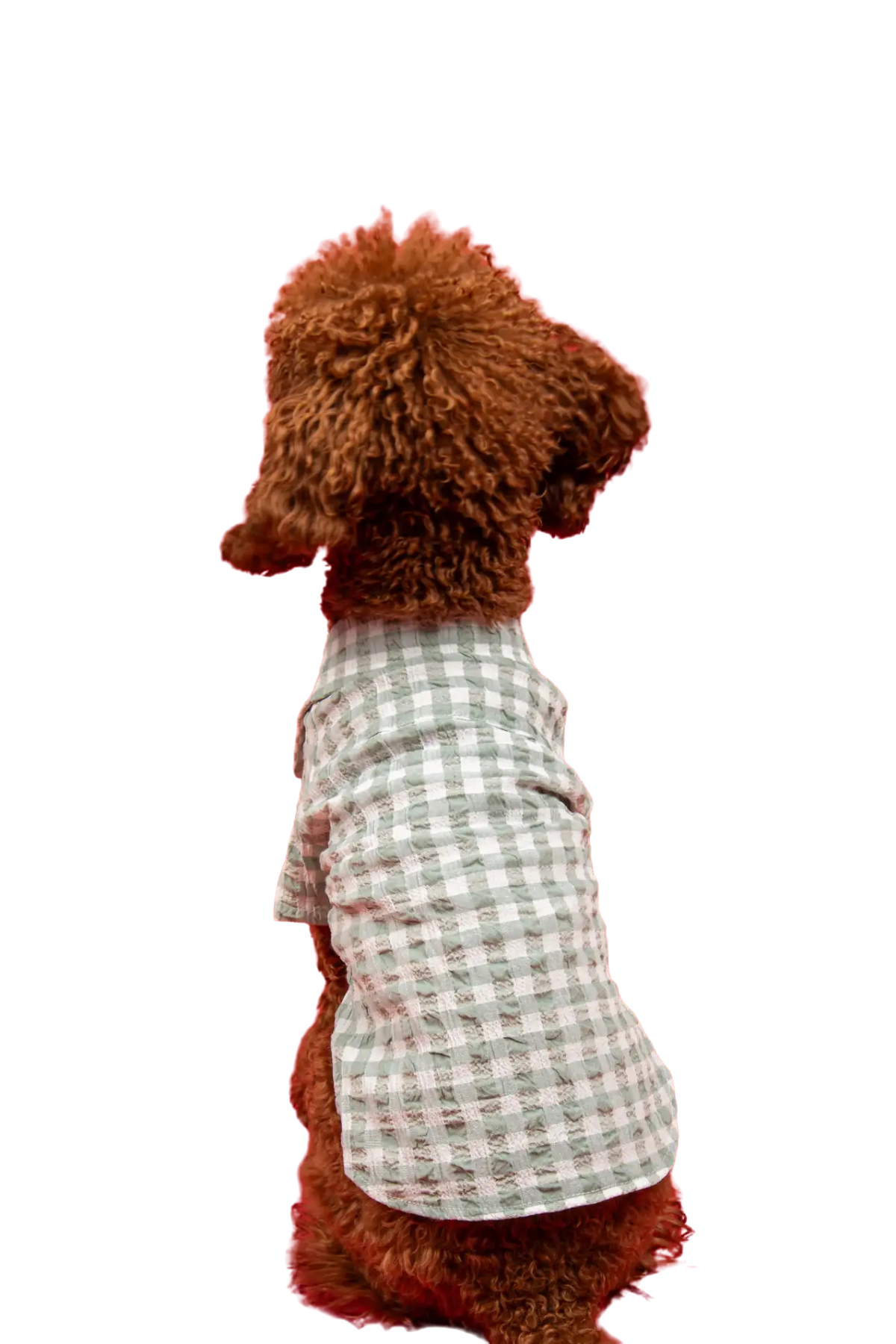 Goodboi Pötikareli Mint Gofre Gömlek