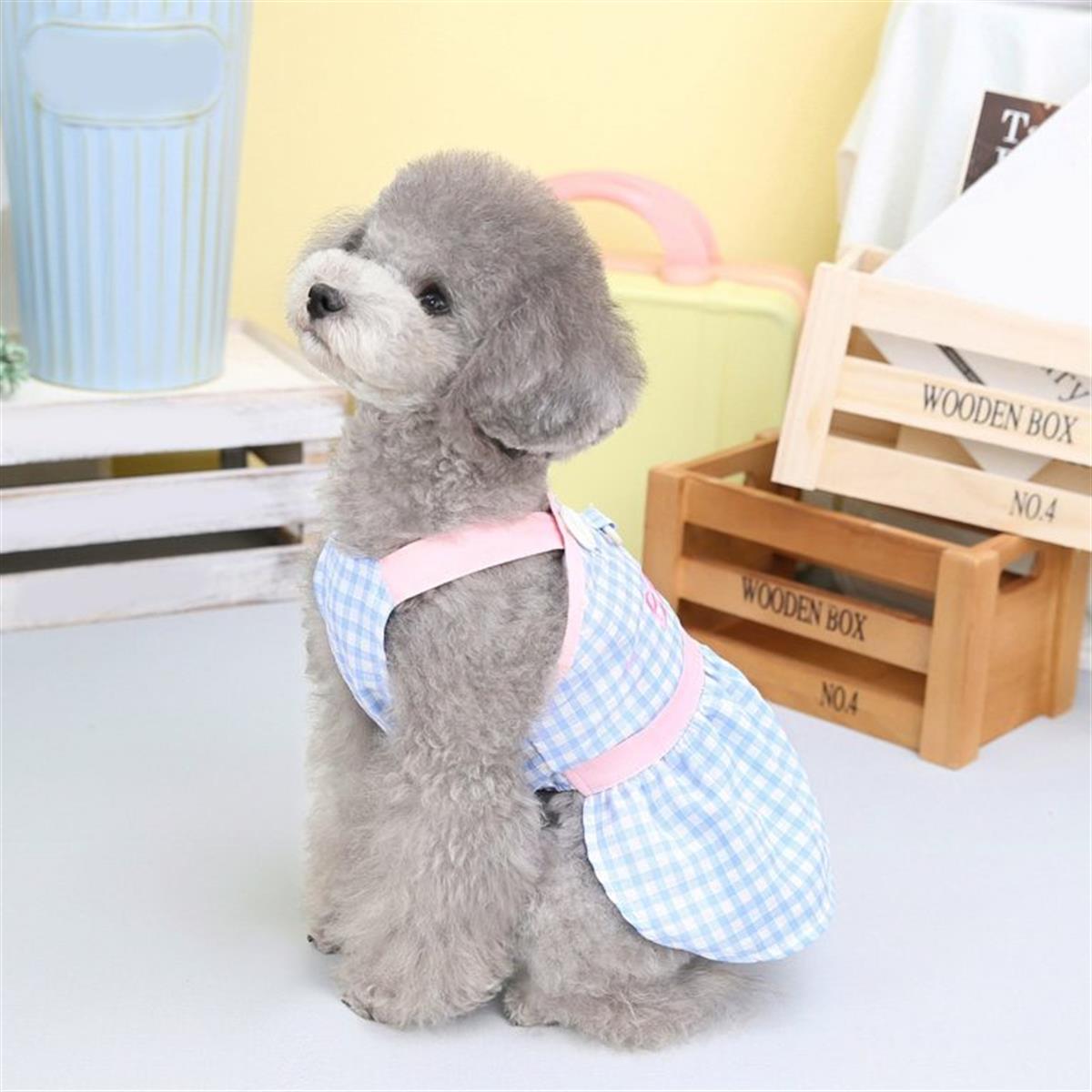 Dolcepets -Baby Dog Dress - Blue