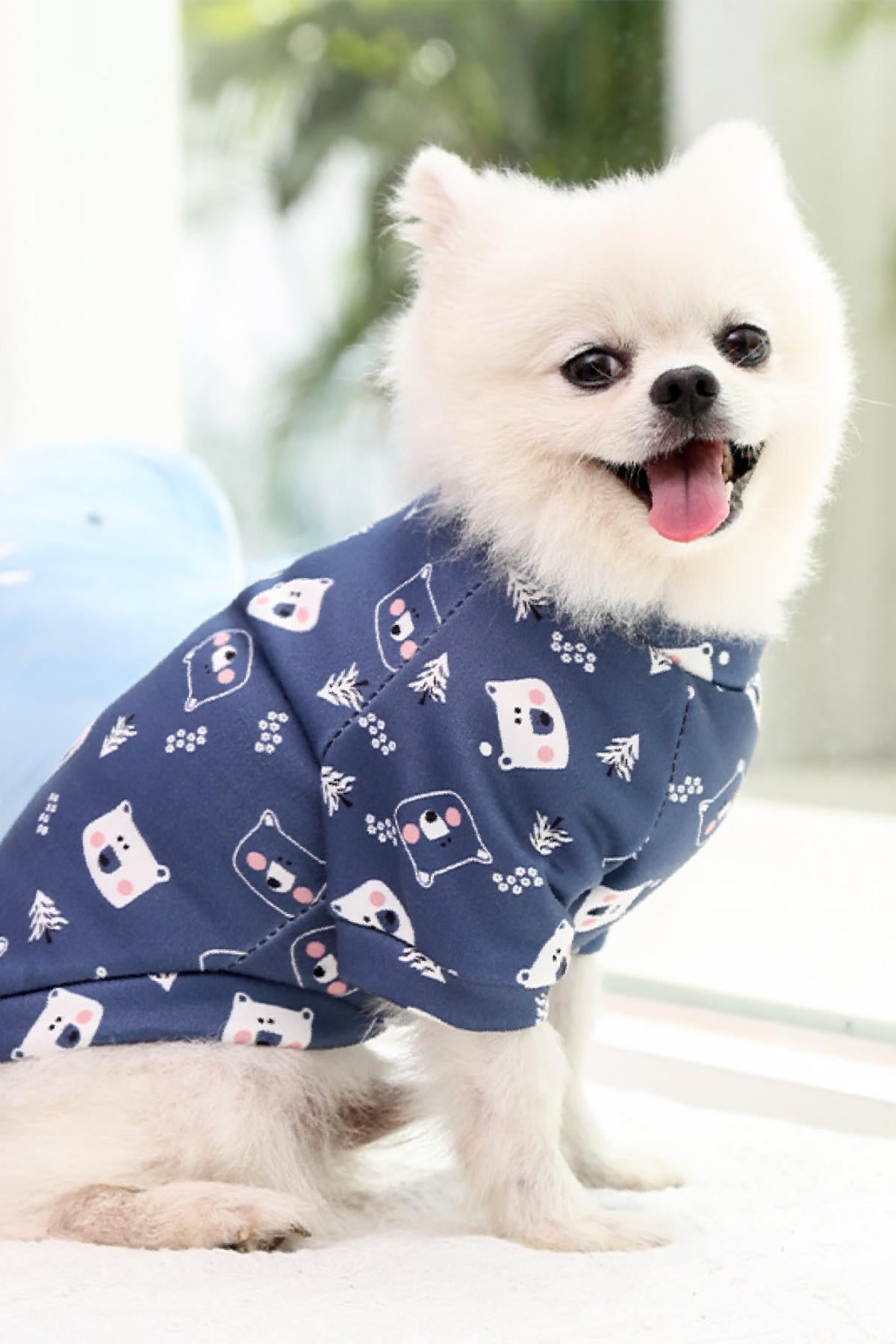 DolcePets Bear T-shirt - Ayıcıklı Köpek Tişört