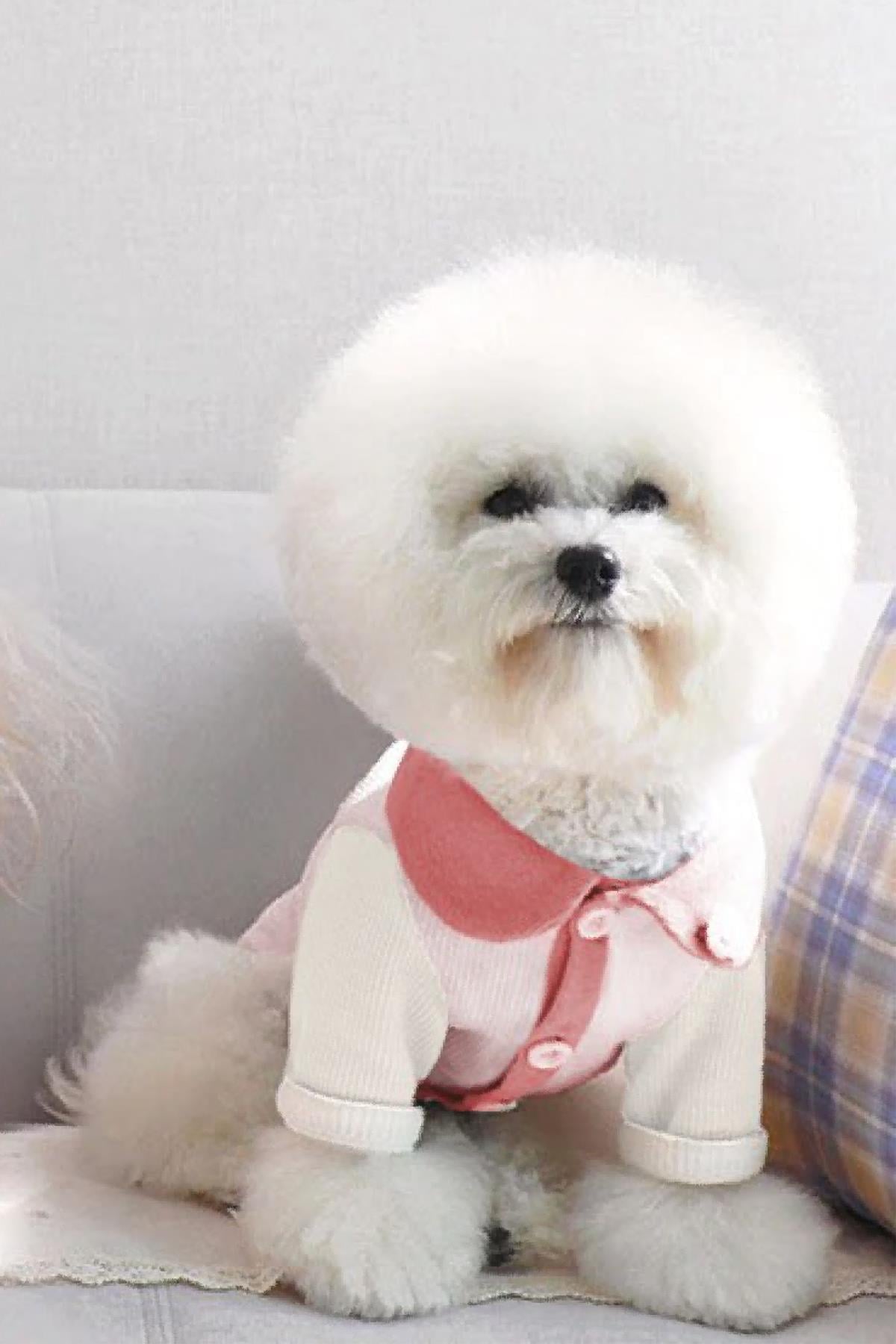 DolcePets - Cloudy T-shirt - Bulutlu Pembe Köpek Tişört