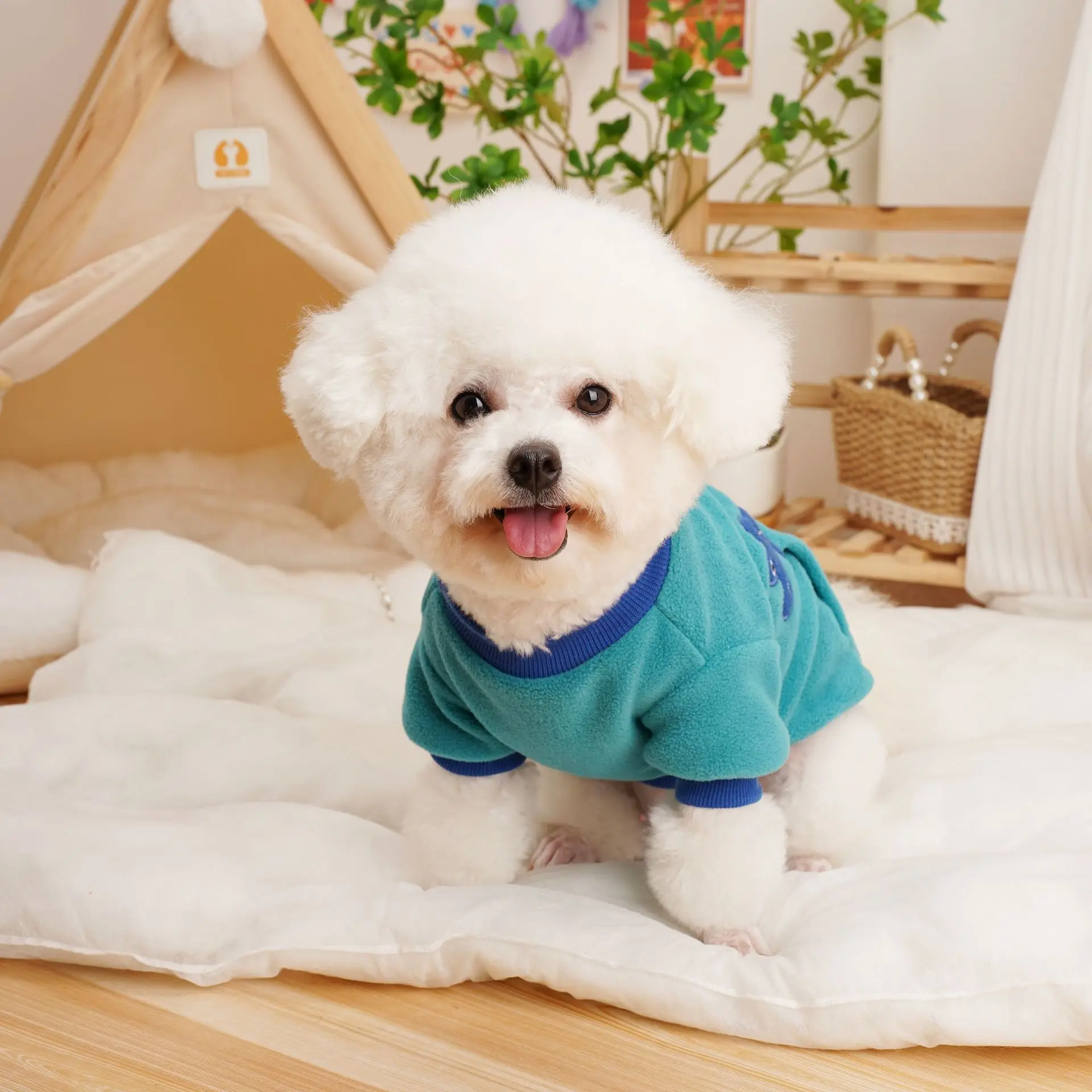 DolcePets Dinazor Köpek Sweatshirt Mavi