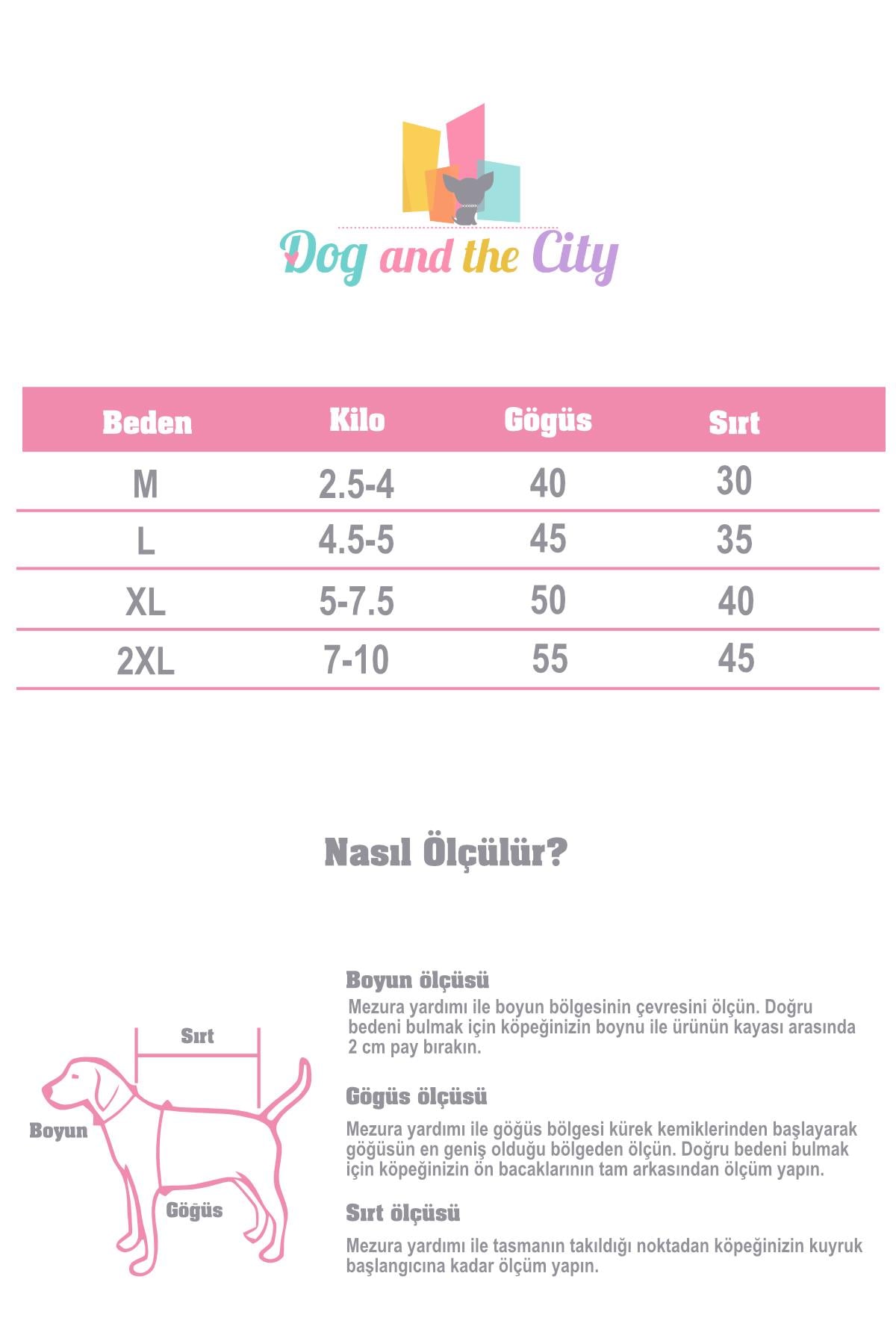 DolcePets Hawaii Blue - Mavi Köpek Gömleği
