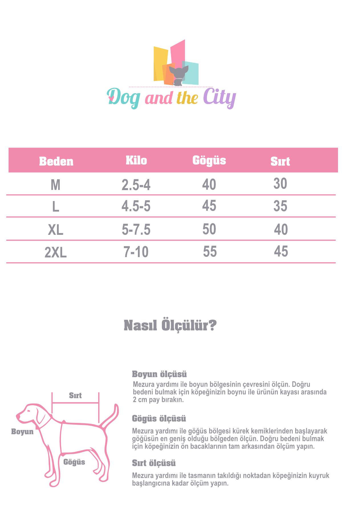 DolcePets Hawaii White - Beyaz Köpek Gömleği