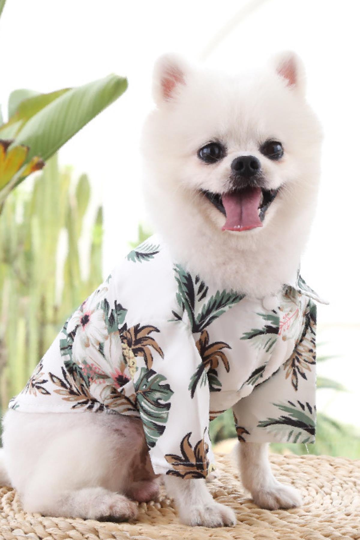 DolcePets Hawaii White - Beyaz Köpek Gömleği