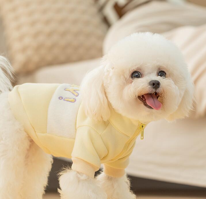 DolcePets / Hey Köpek Sweatshirt / Sarı