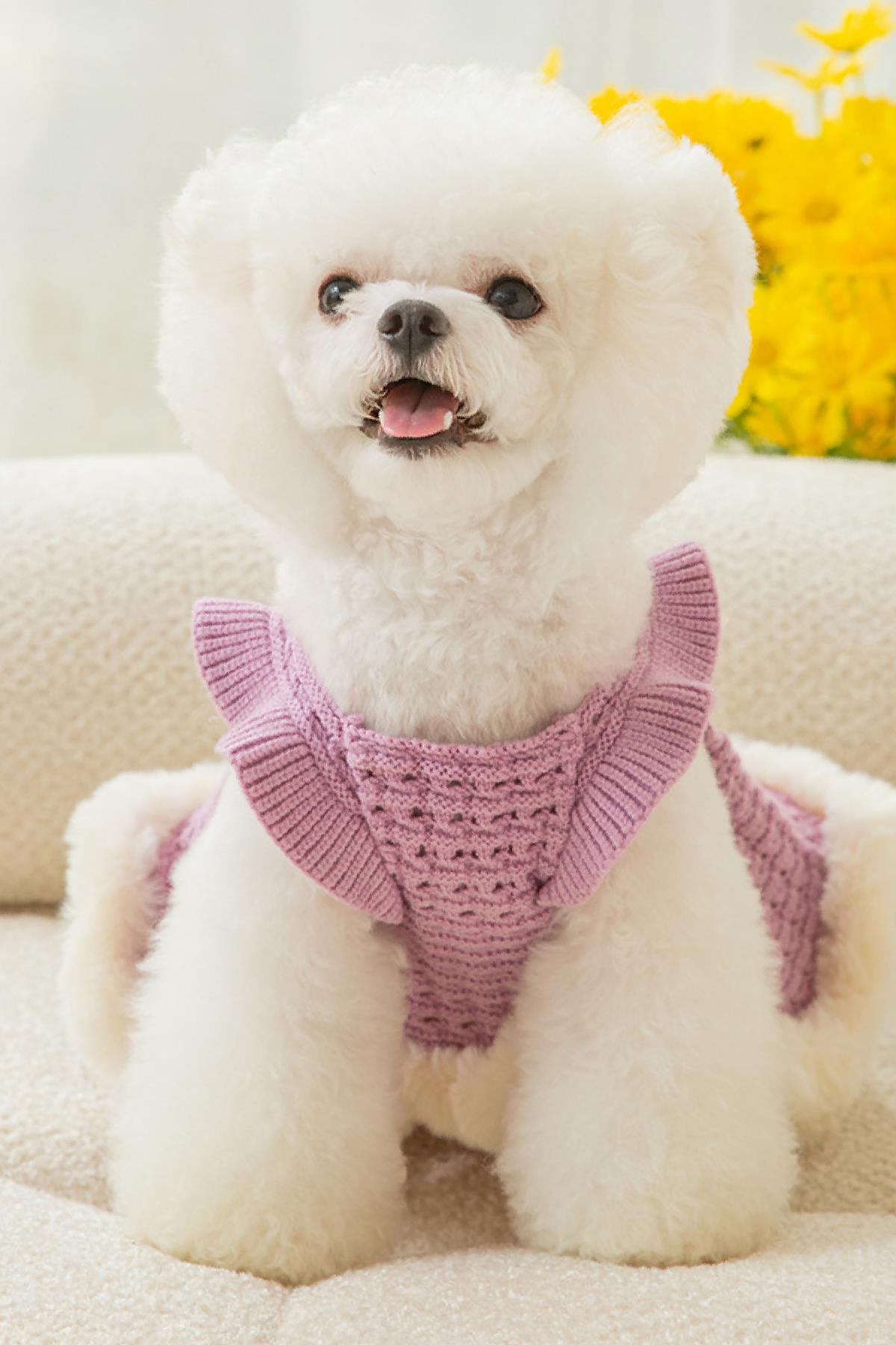 DolcePets Knit Dress - Örgü Elbise