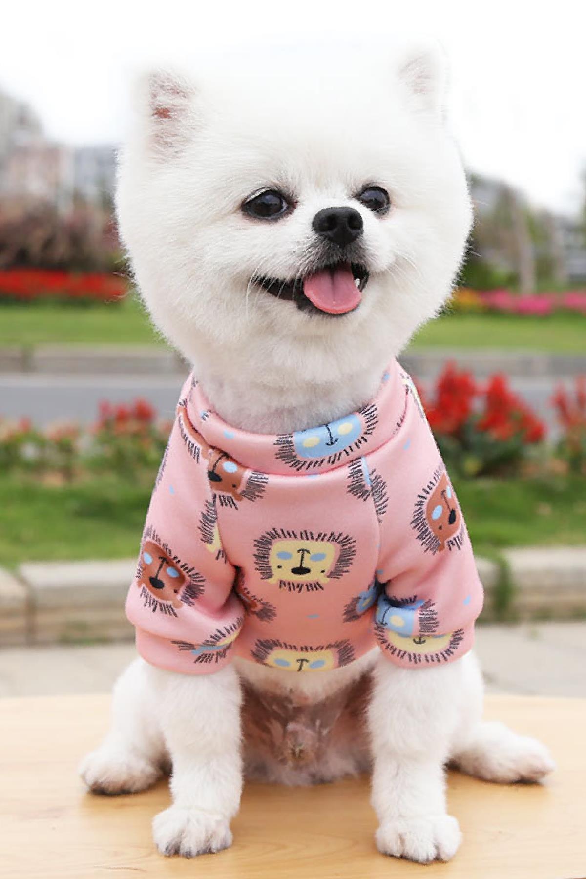 DolcePets Lion T-shirt - Aslanlı Köpek Tişört