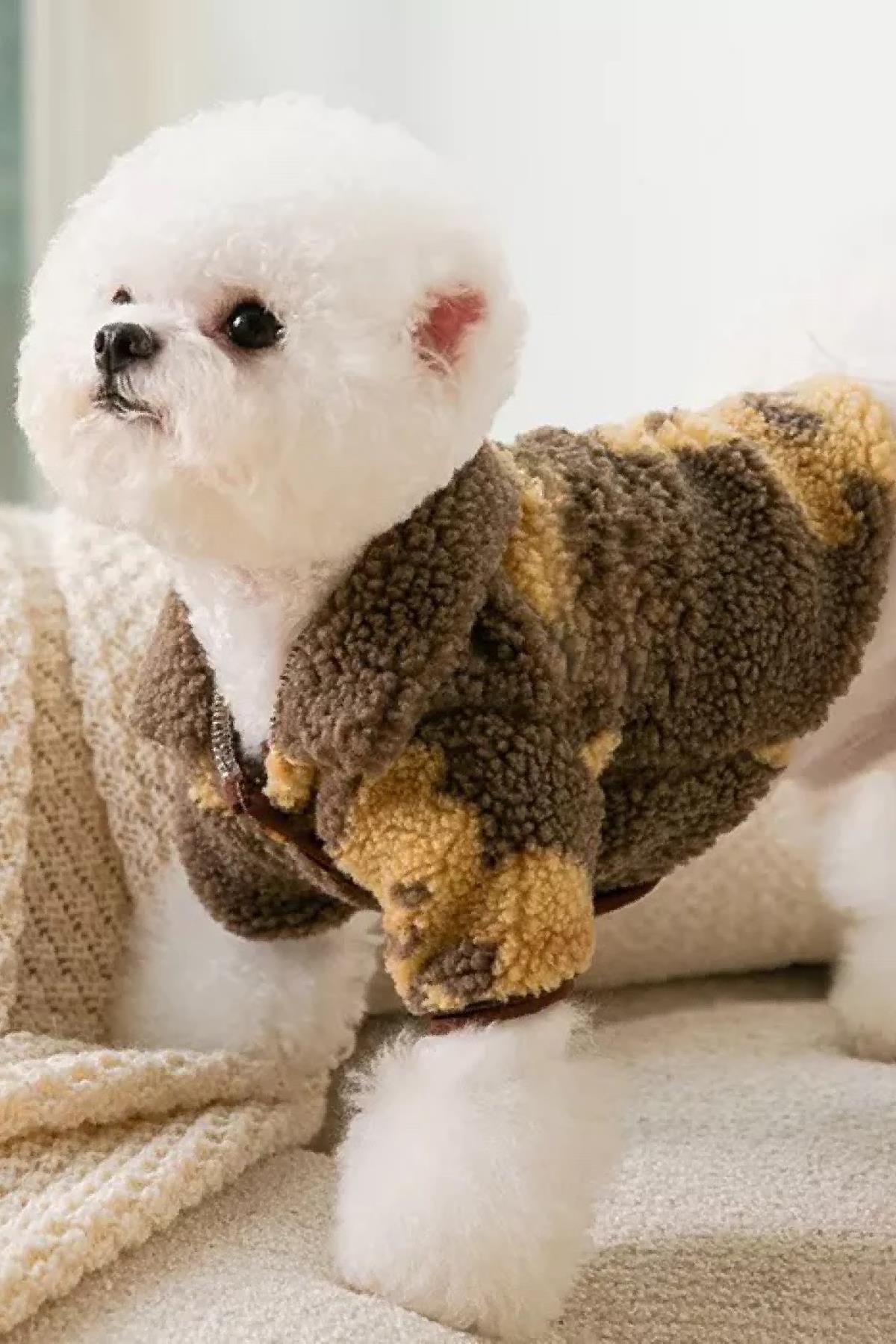 DolcePets -Tedy Köpek Montu - Kahverengi