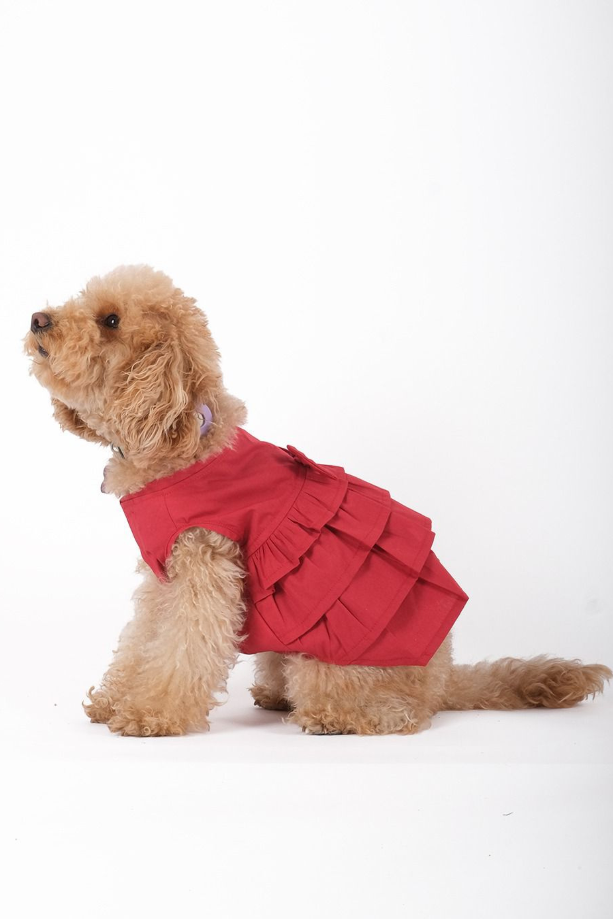 Doredog Kırmızı Elbise 