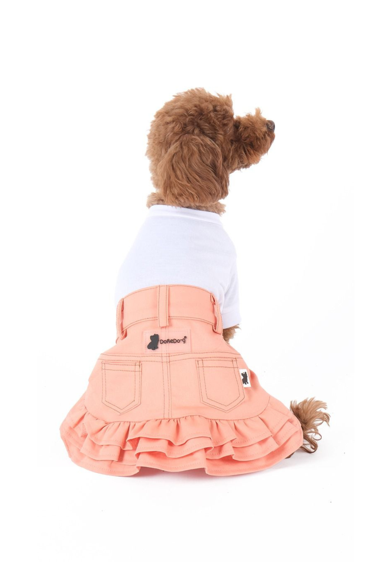 Doredog Kot Etek - Somon 