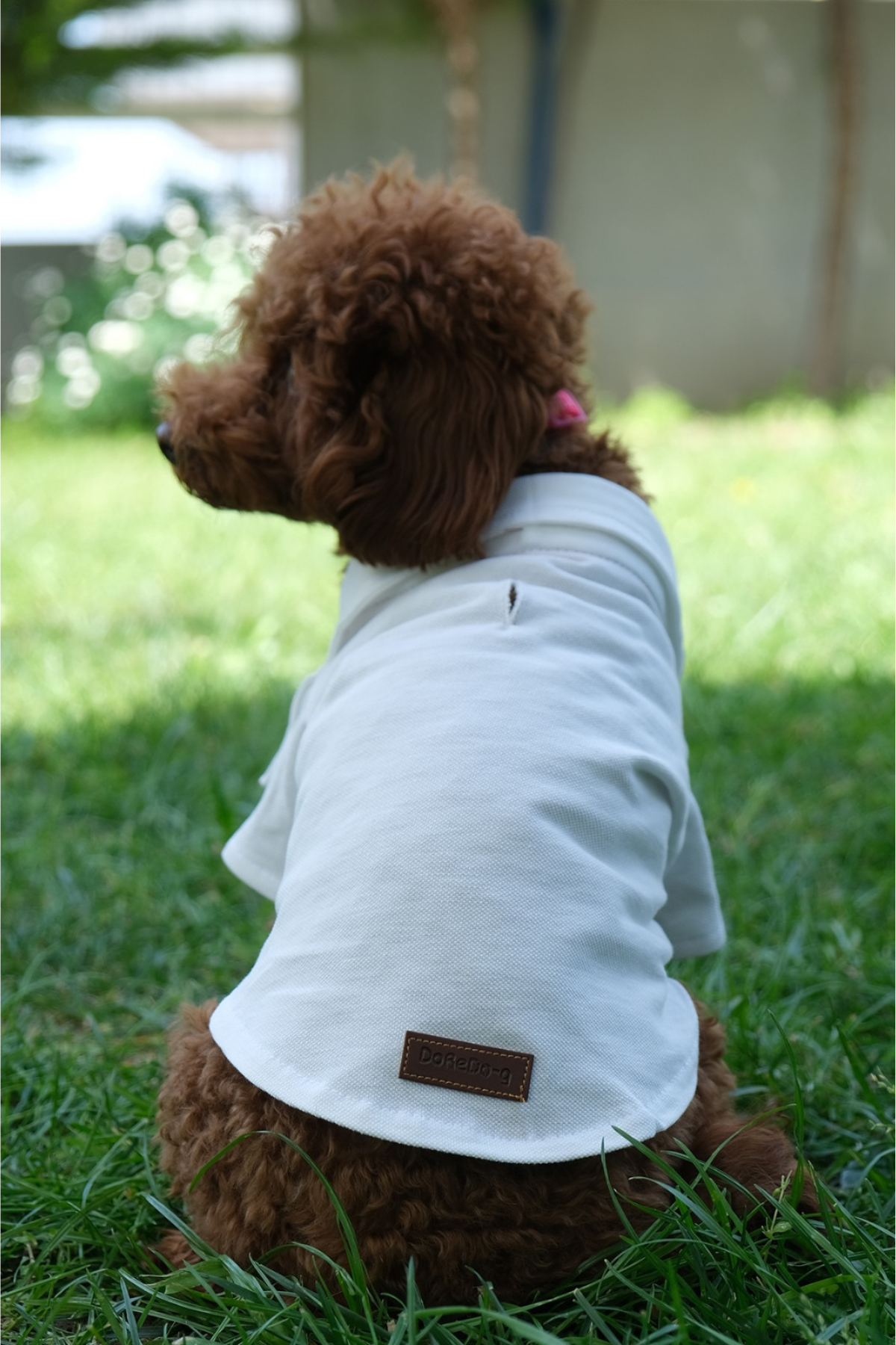 Doredog Krem Polo Yaka Tshirt