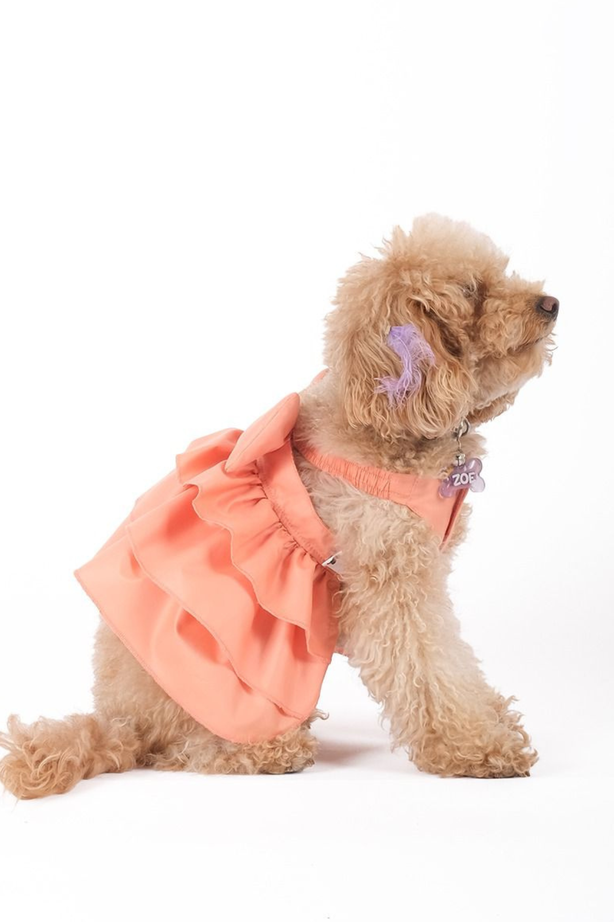 Doredog Somon Elbise 