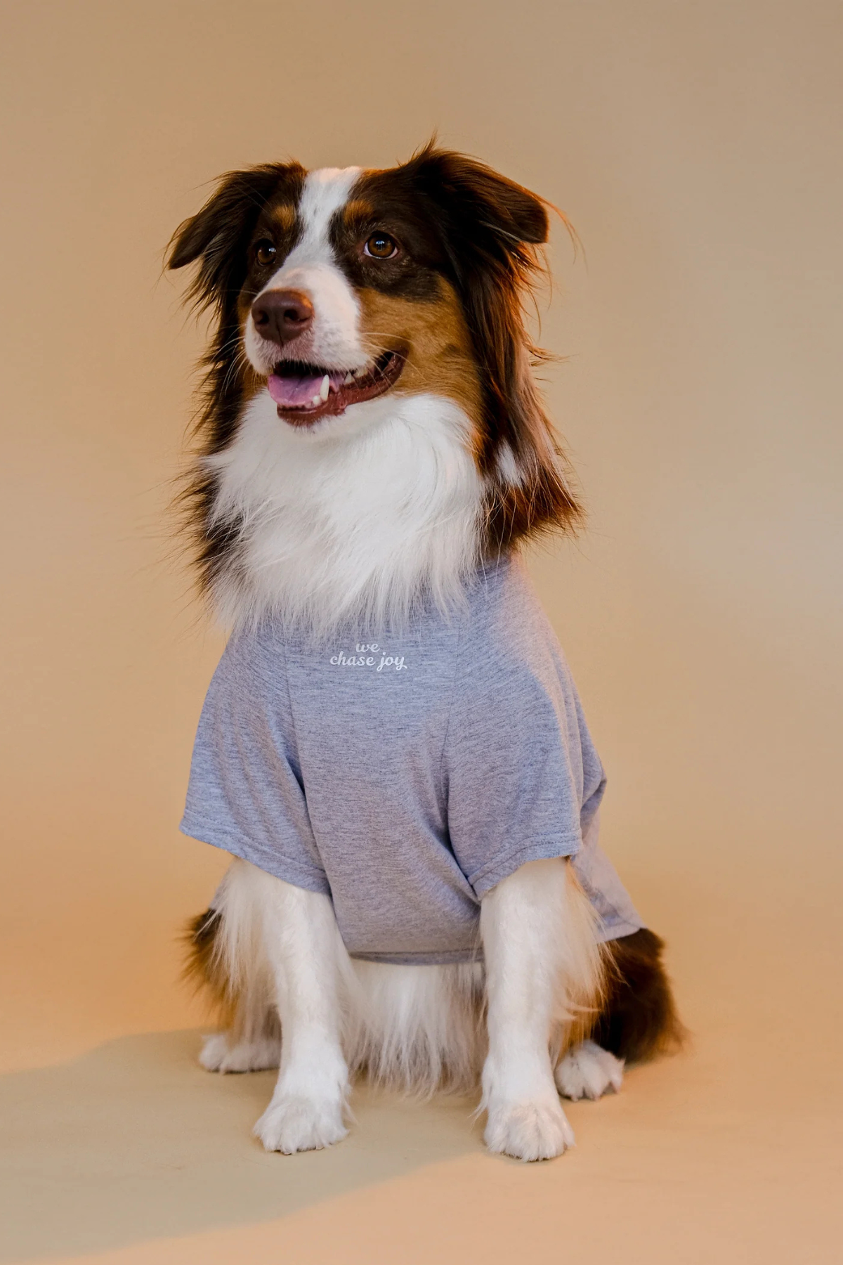 Asky&Erd Chasing Joy | Urban Grey Köpek Tişört