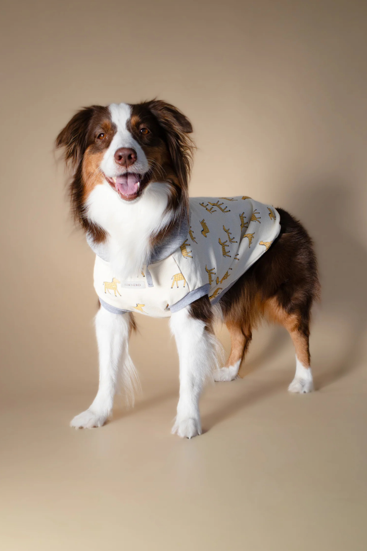 Asky&Erd Wild Mustang Sweatshirt