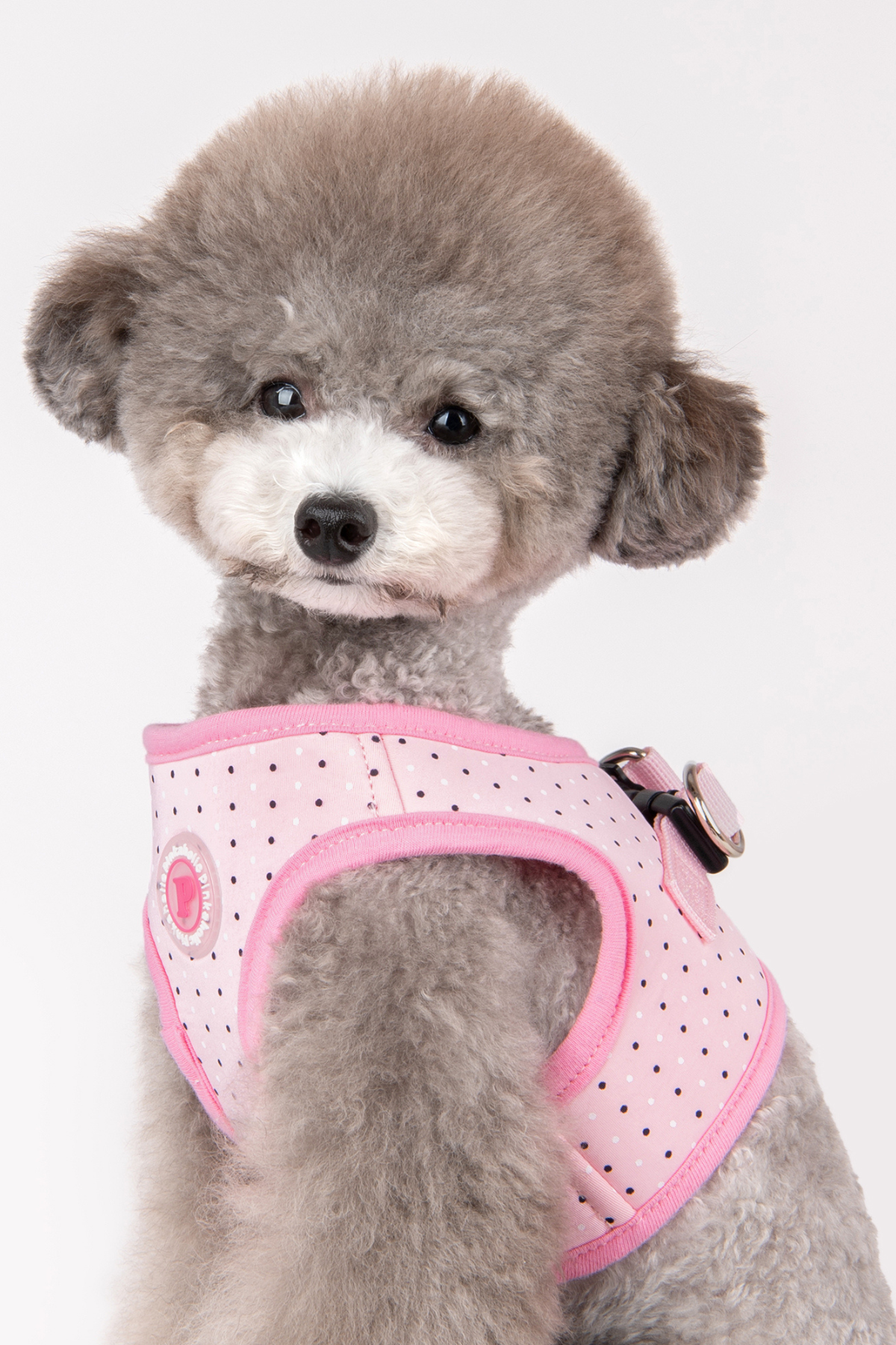 Pinkaholic New York Mila Harness B Göğüs Tasması Pembe