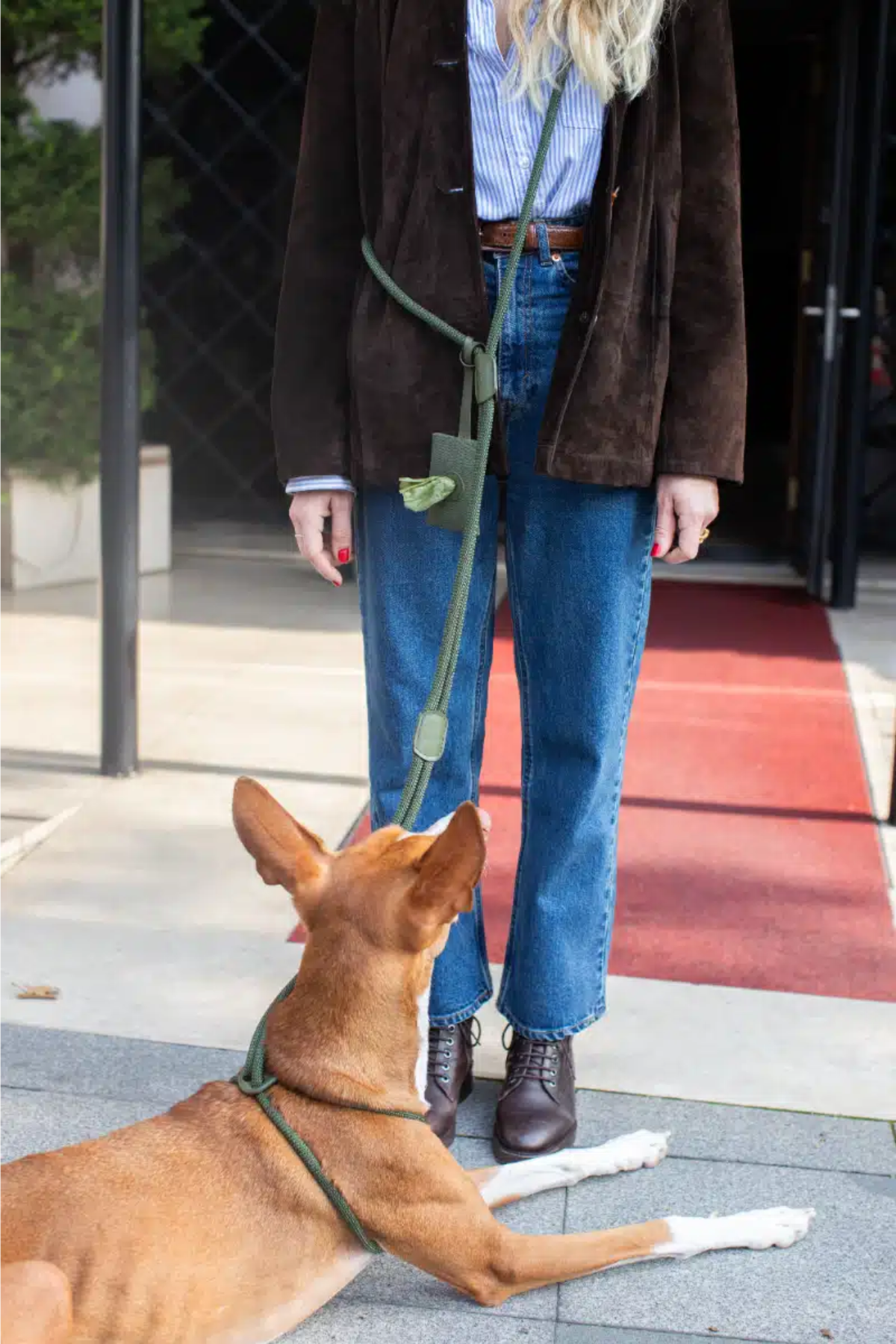 Zoe Pet Atelier All In One Köpek Göğüs Tasması ve Gezdirme Kayışı Seti Haki Yeşil