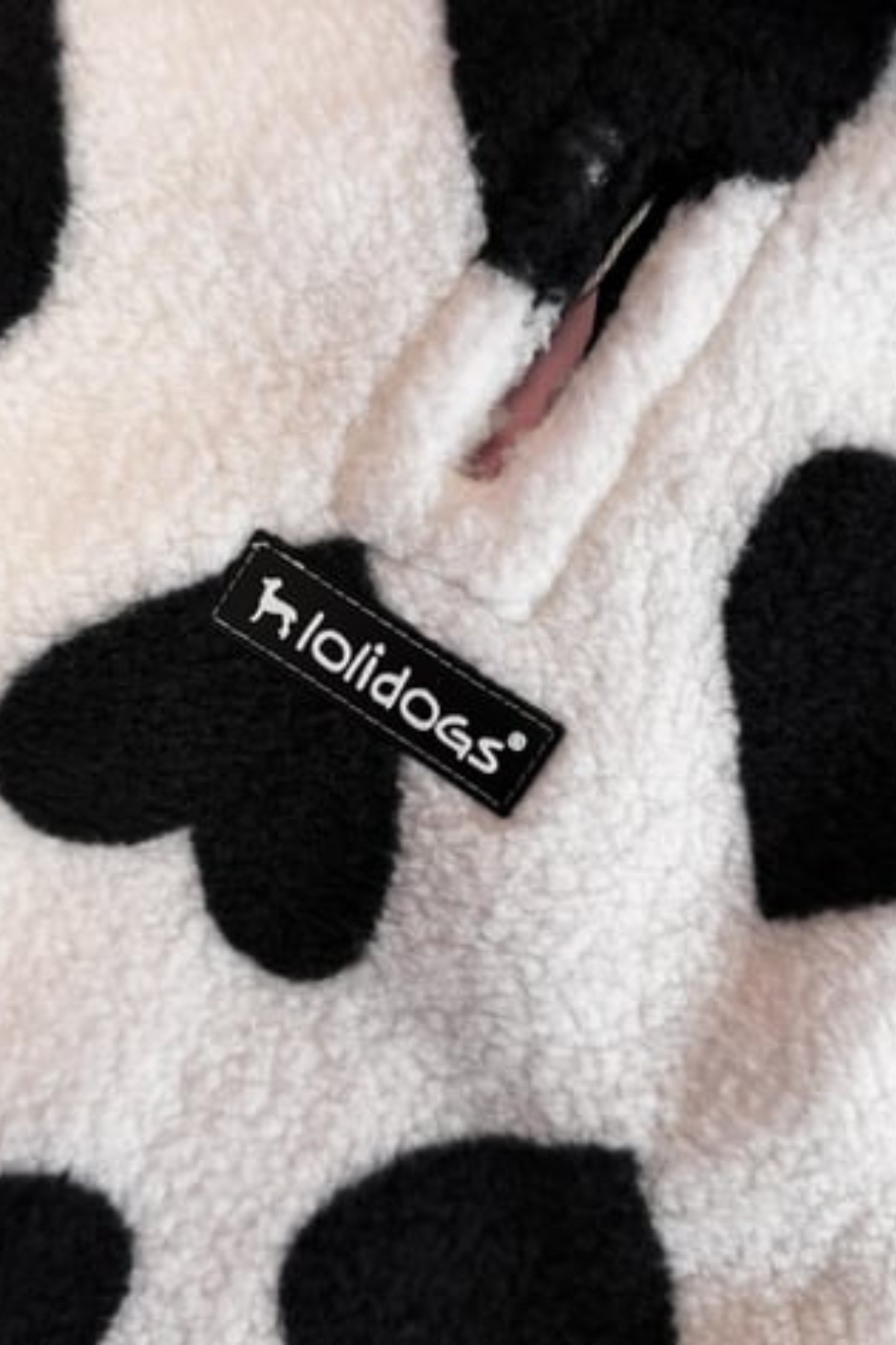 Lolidogs Köpek Ceketi | Noir