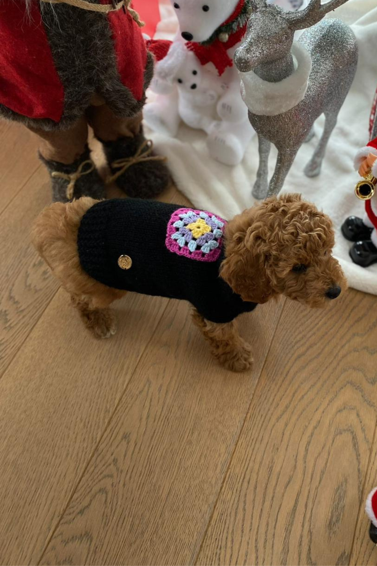 My Petit Paw Örgü Çiçekli Siyah Kazak