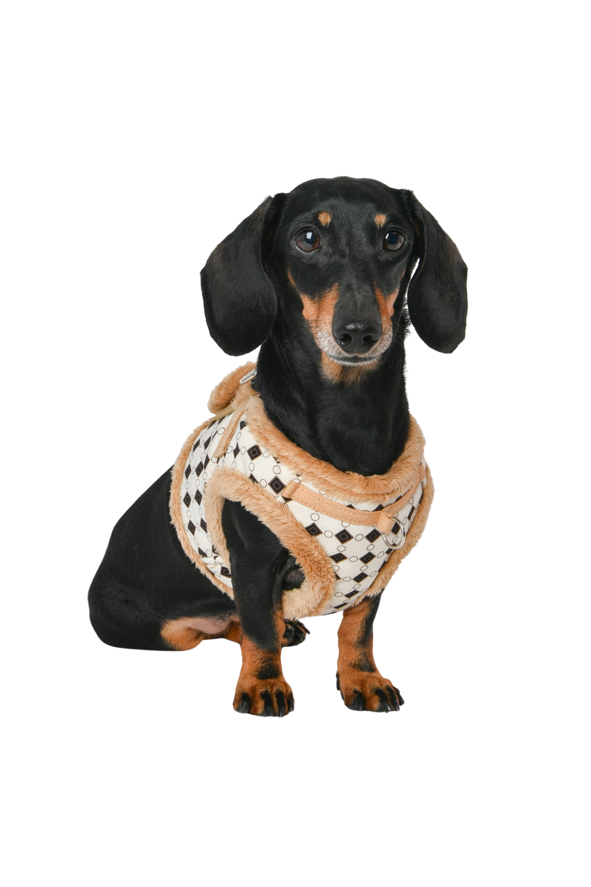 Puppia Jace Vest Köpek Göğüs Tasması - Bej