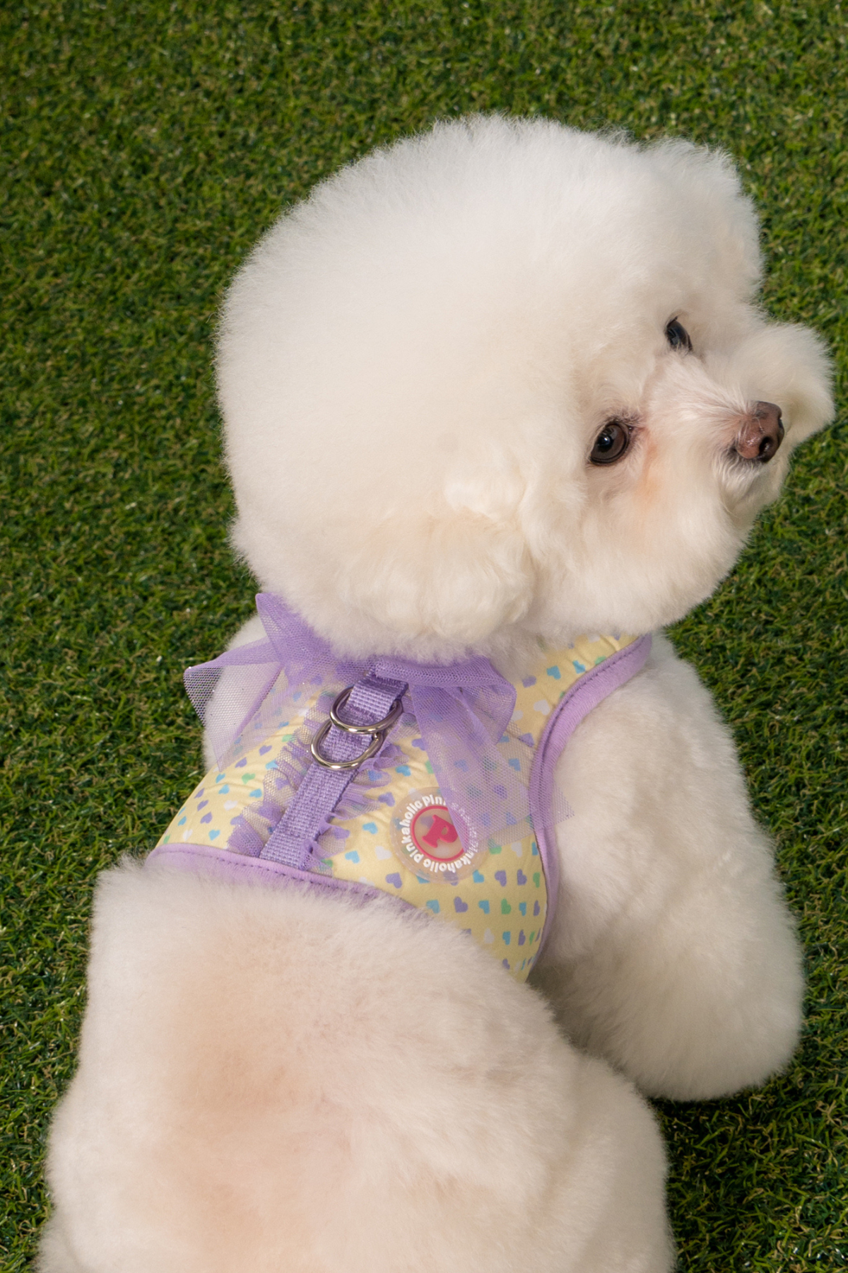 Pinkaholic New York Mabel Harness Köpek Göğüs Tasması Mor 