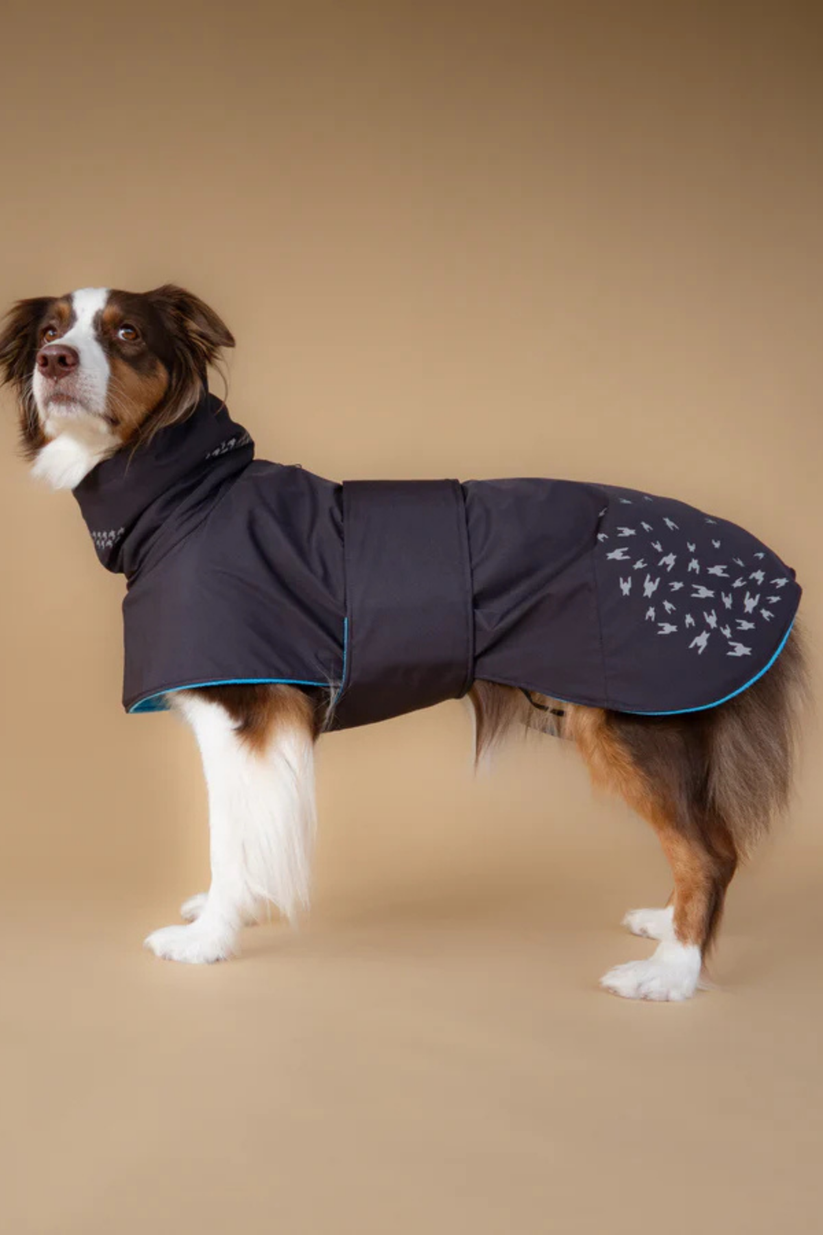 Asky&Erd Seattle StormGuard Coat Yağmurluk Charcoal Ice