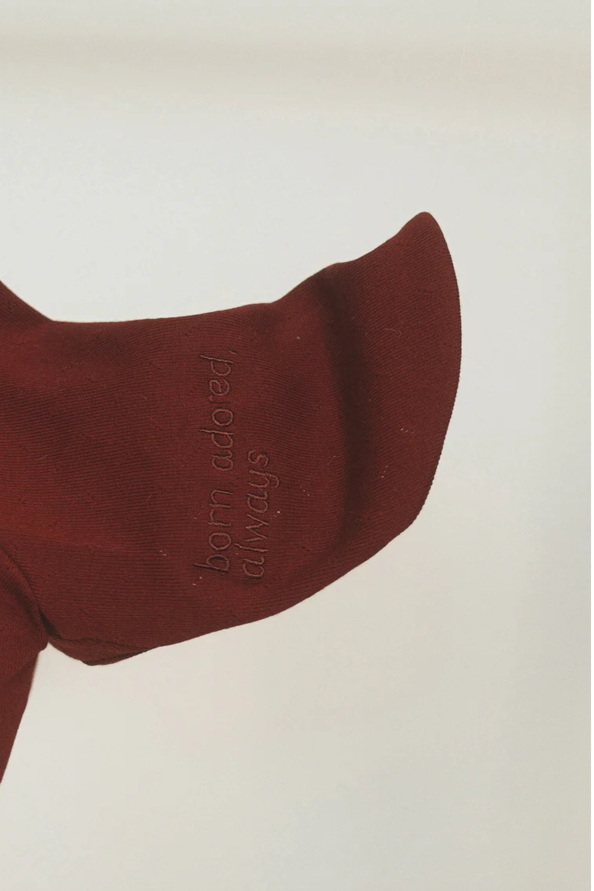 Lil.co Basic Turtleneck Köpek Tshirt Bordo