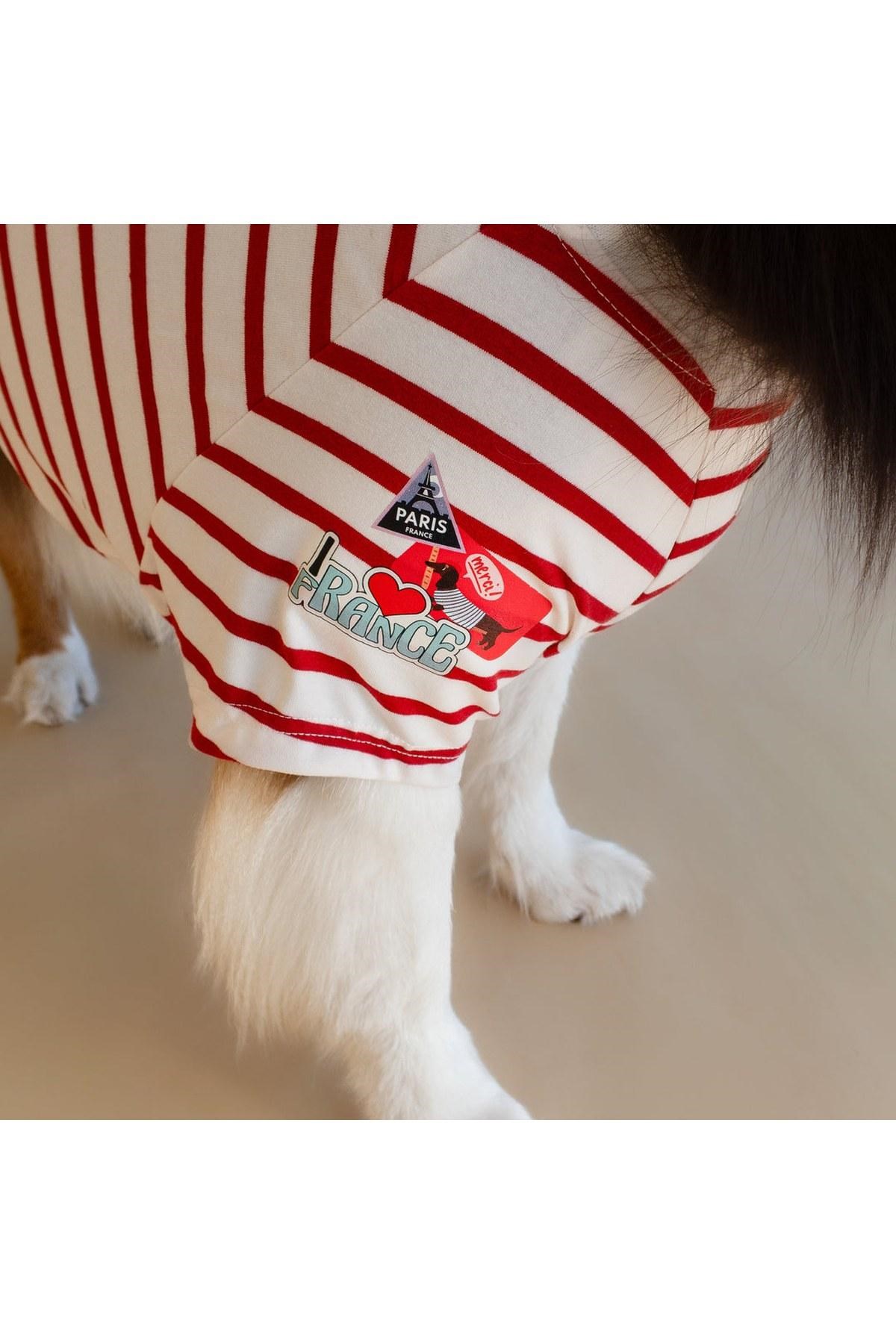Asky&Erd Bonjour Paris Köpek T-Shirt | Rouge Breton