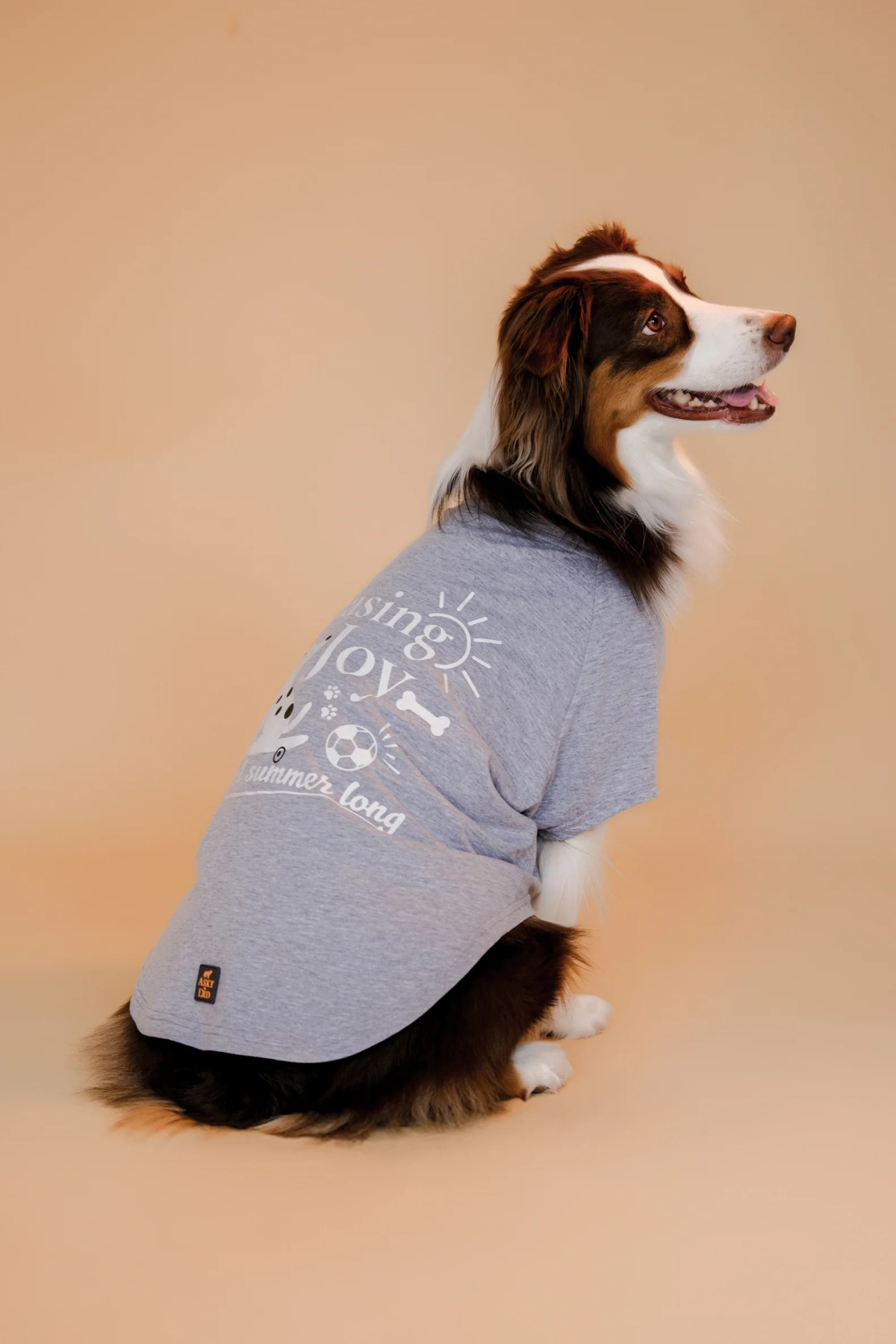 Asky&Erd Chasing Joy | Urban Grey Köpek Tişört