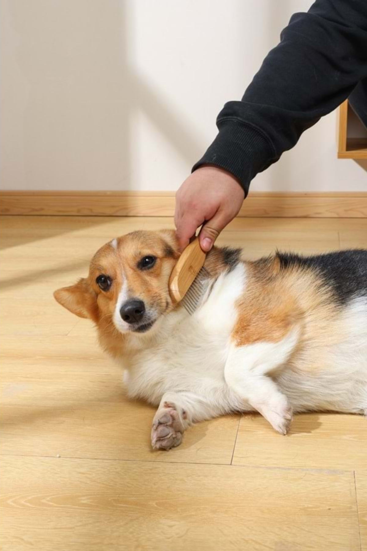 M-Pets Bamboo Köpek - Kedi Tarak