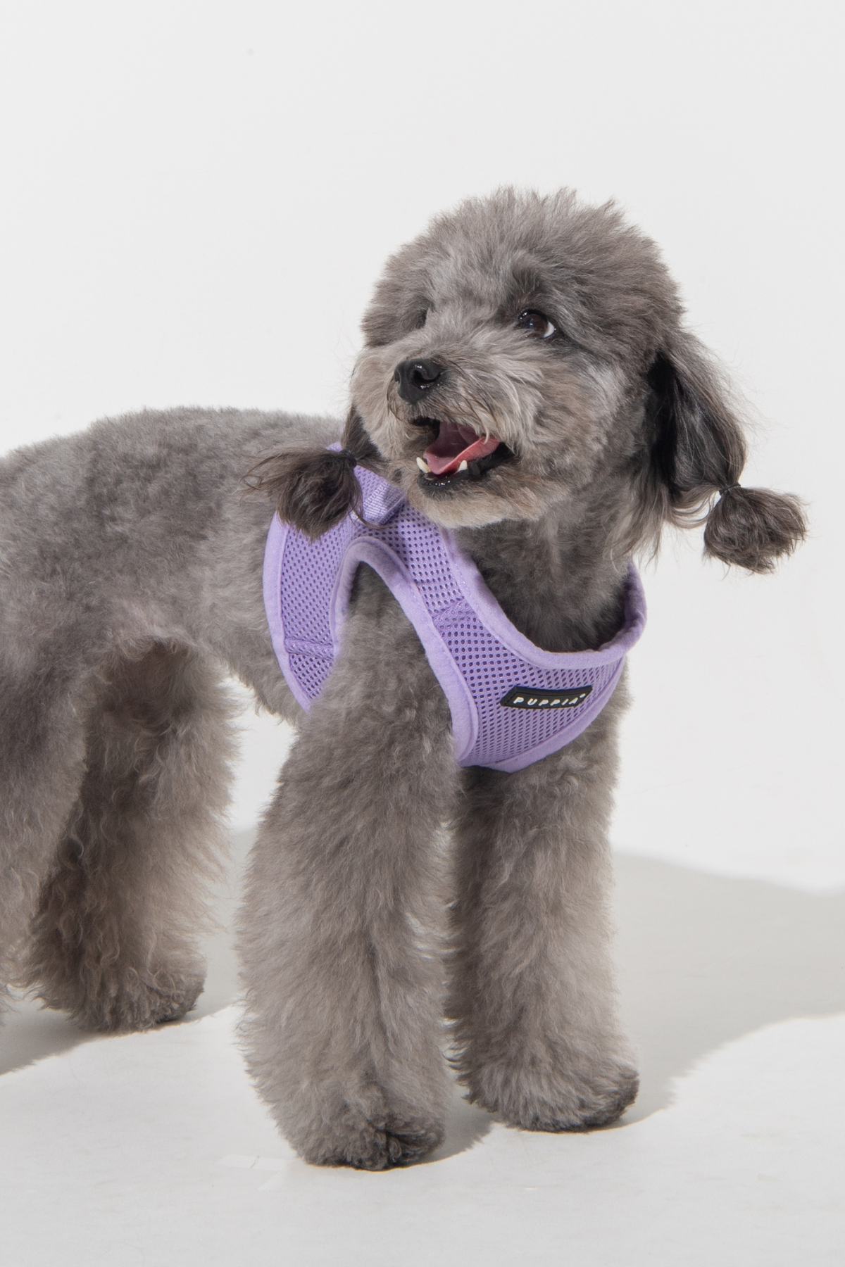 Puppia Soft Vest Köpek Yelek Tasma Lila