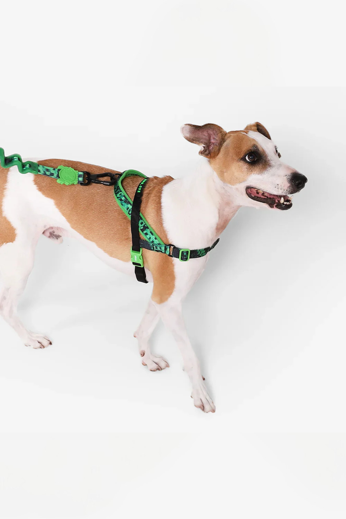 Glitch Error #410 Softer Walk Göğüs Tasması - Zee.Dog