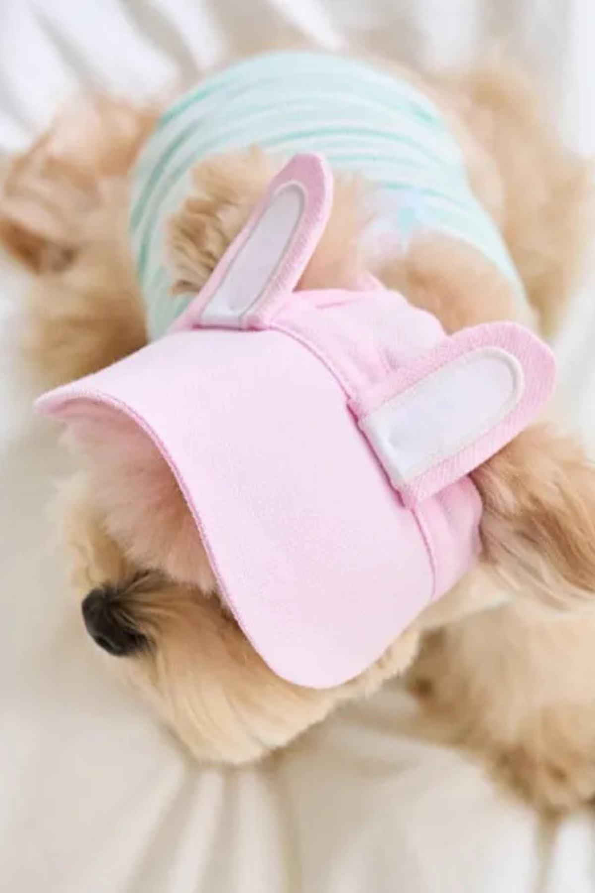 DolcePets Tavşan Kulaklı Şapka - Pembe