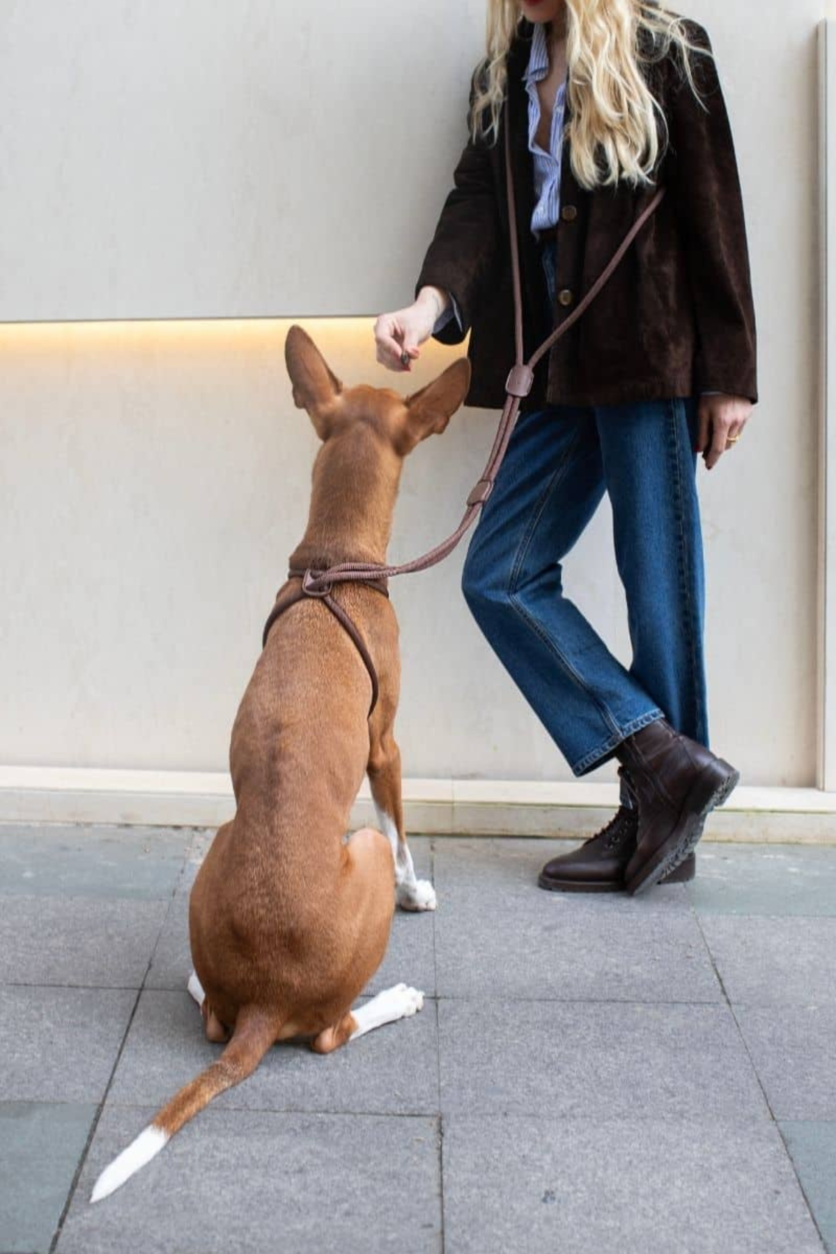 All In 1 Loop Harness In Espresso Brown