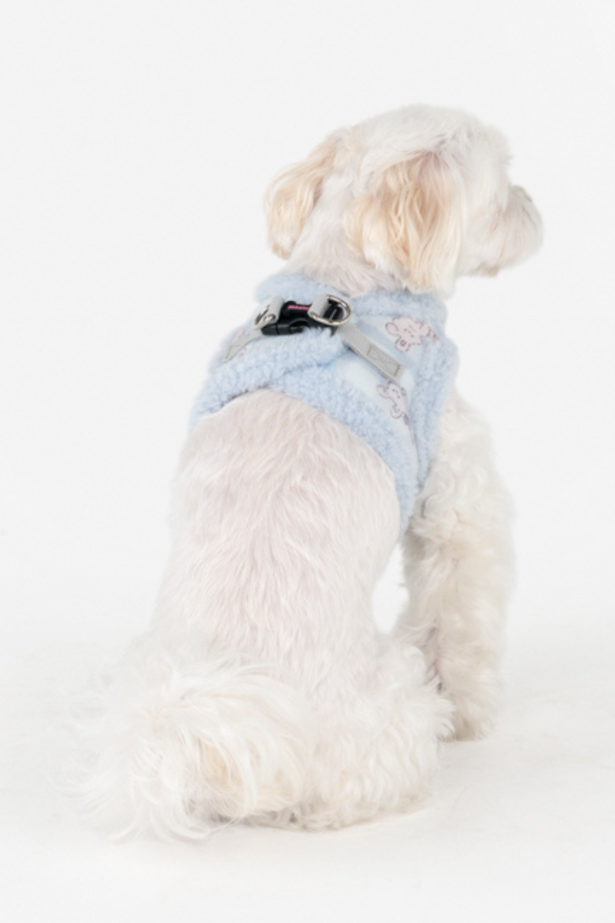 Pinkaholic Bronwen Vest Harness Köpek Göğüs Tasması Mavi 
