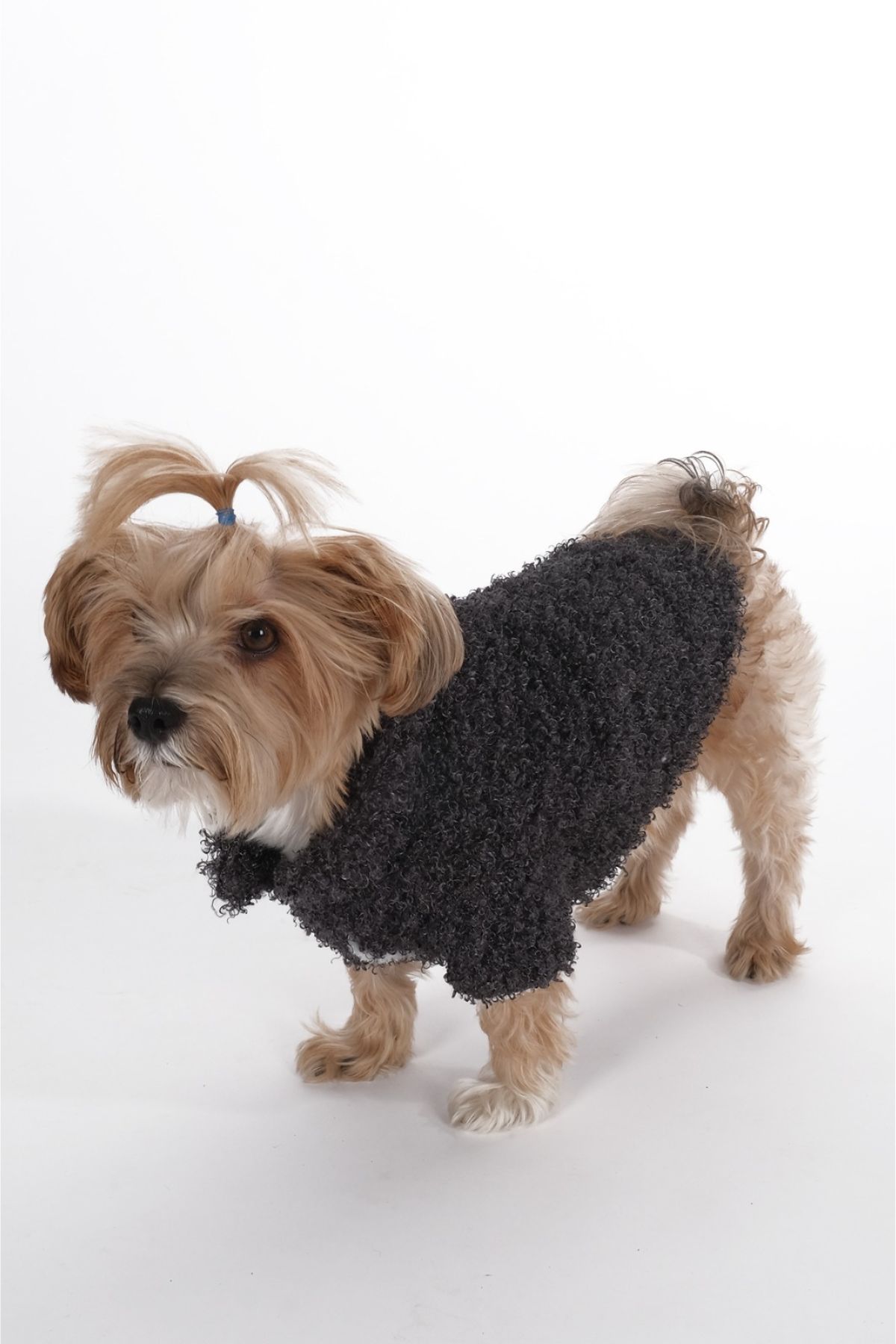 Doredog Kıvırcık Peluş Gri