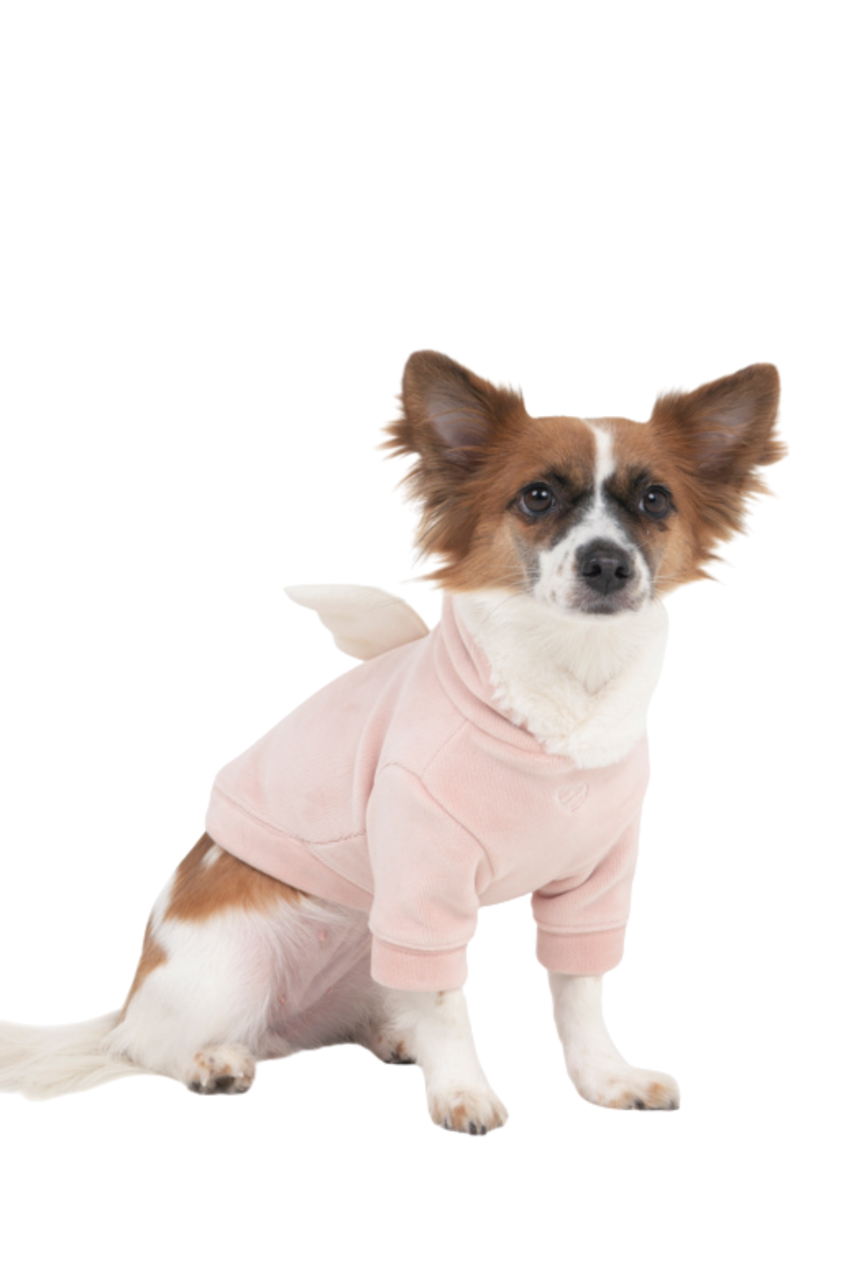 Puppia Peliah Köpek Sweatshirtü Pembe