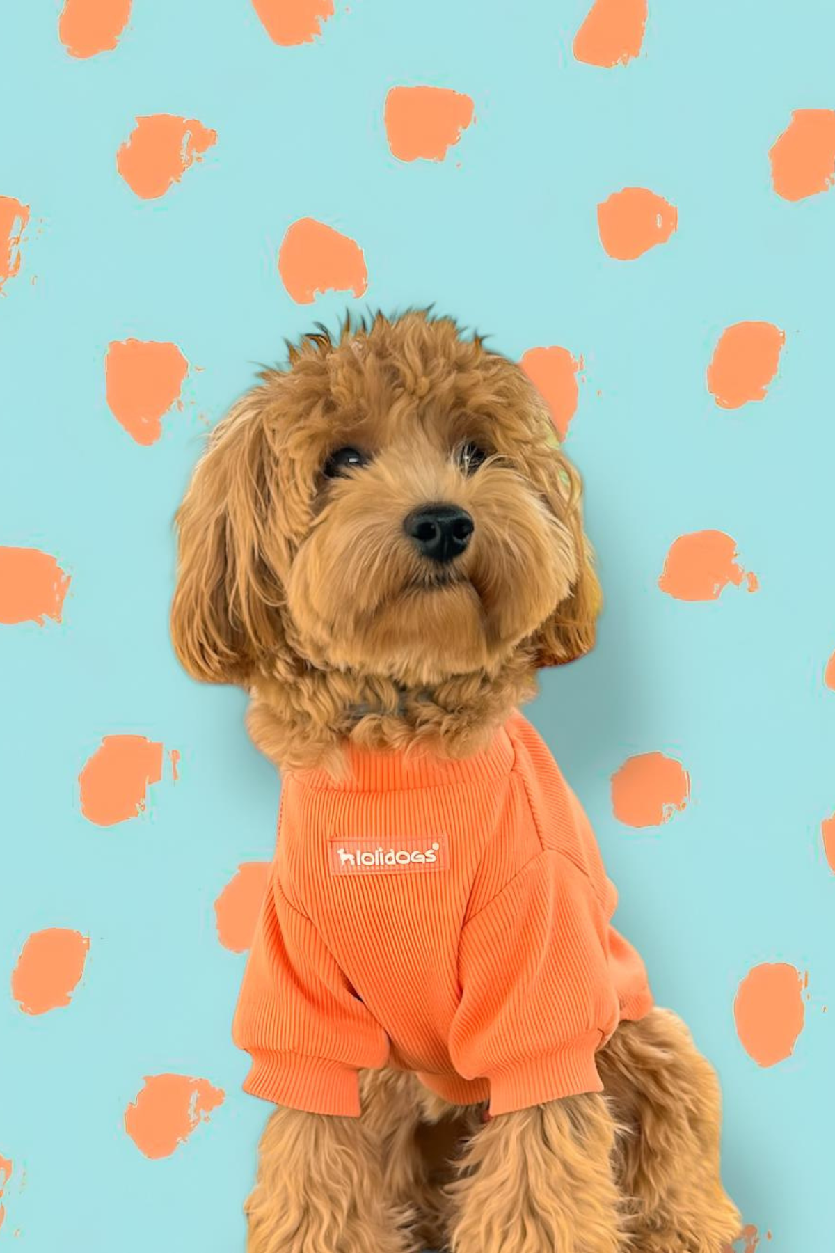 Lolidogs Basics Kaşkorse Melon
