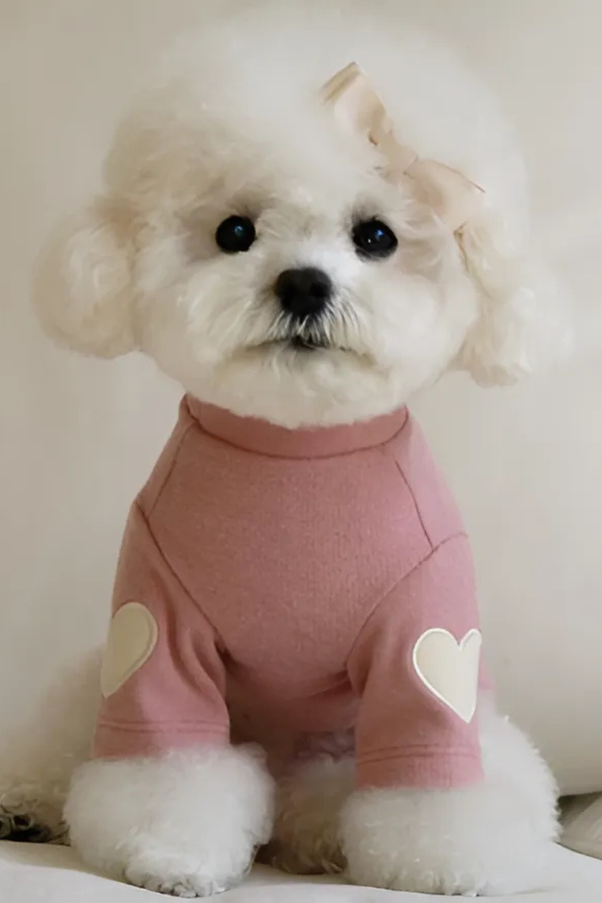 DolcePets Kalpli Kazak/Pembe