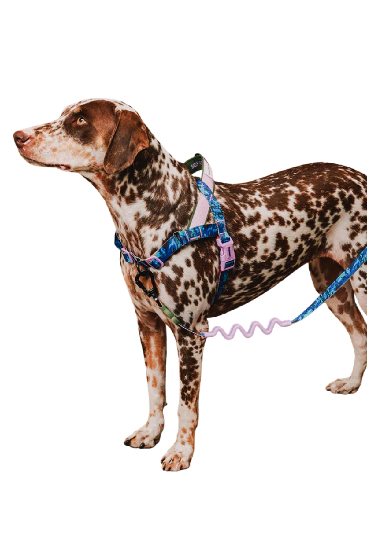 Zee.Dog Reebok x Zee.Dog Trekk Softer Walk Göğüs Tasması
