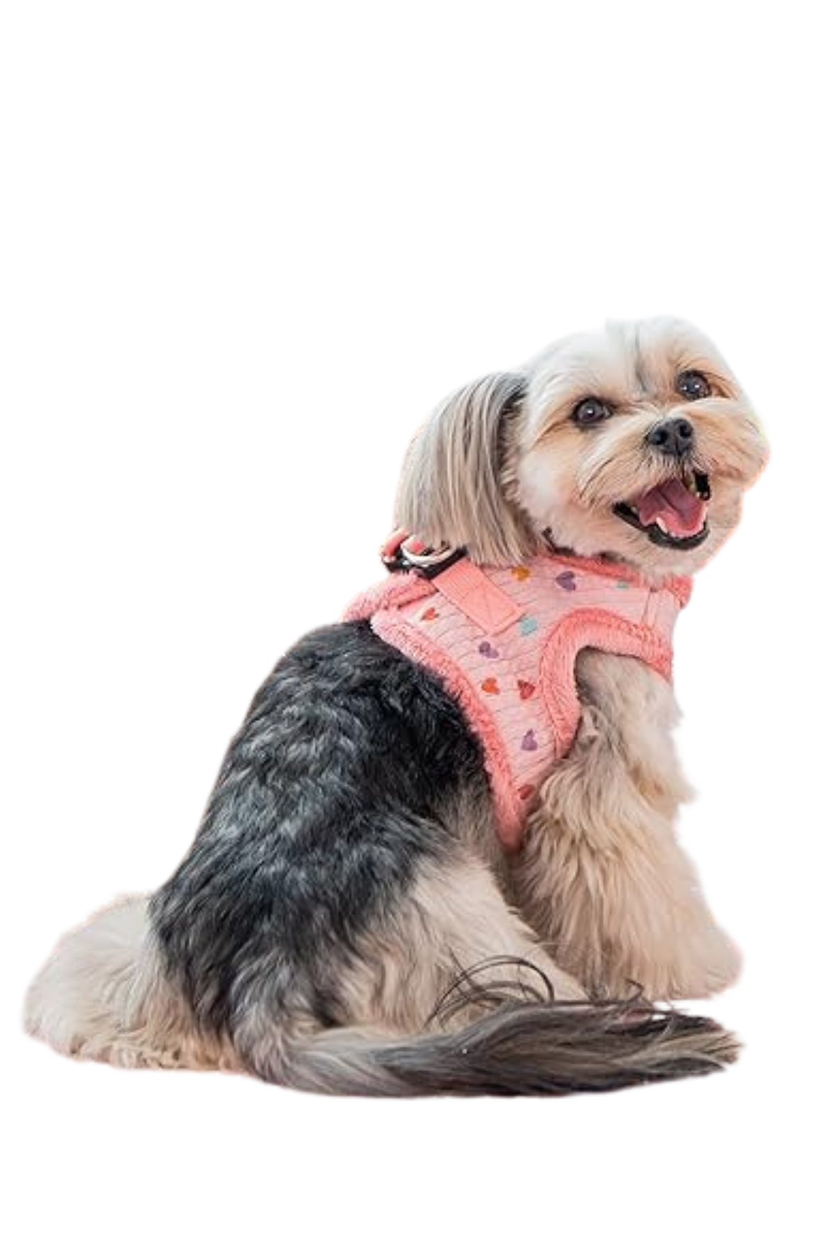 Pinkaholic New York Merry Pinka Köpek Göğüs Tasması - Pembe