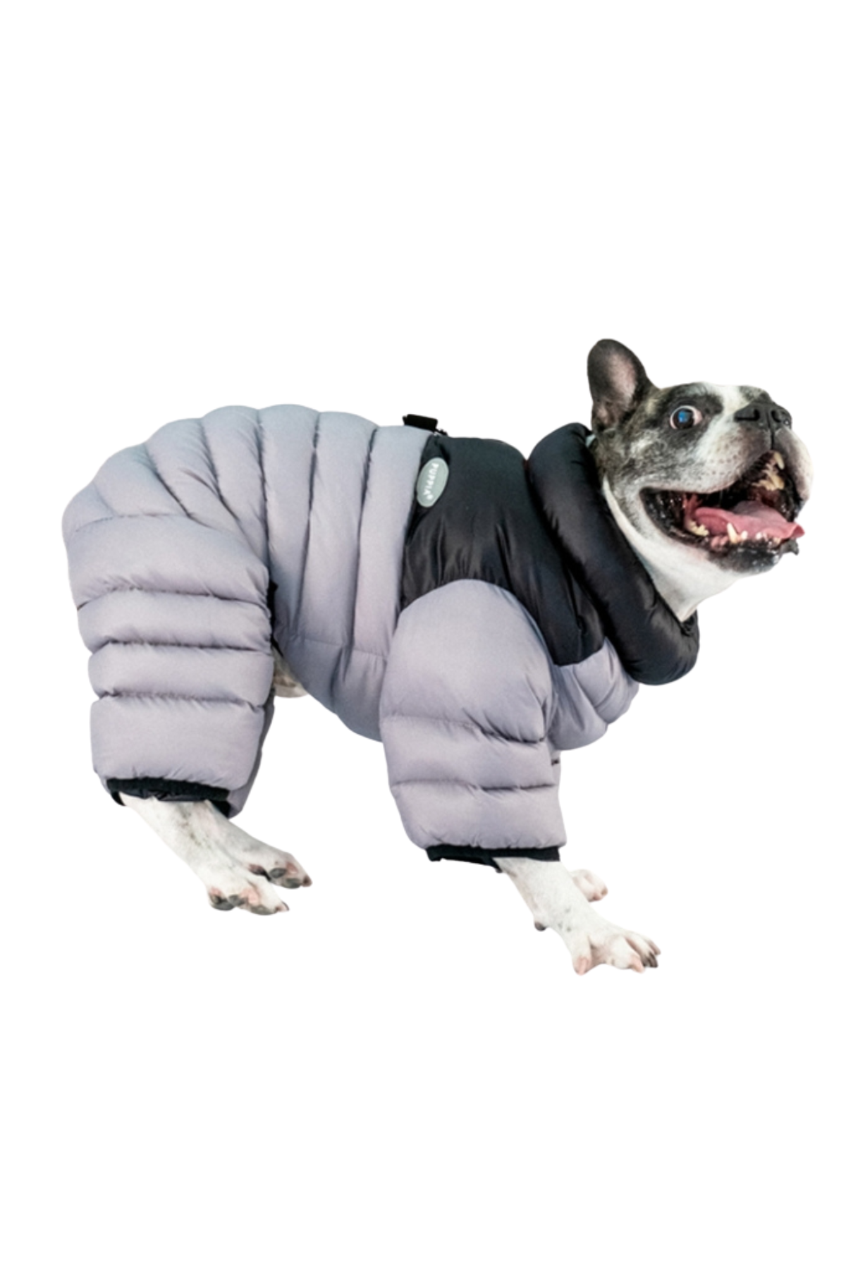 Puppia Alpine Puffer Termal Köpek Tulumu - Gümüş Gri