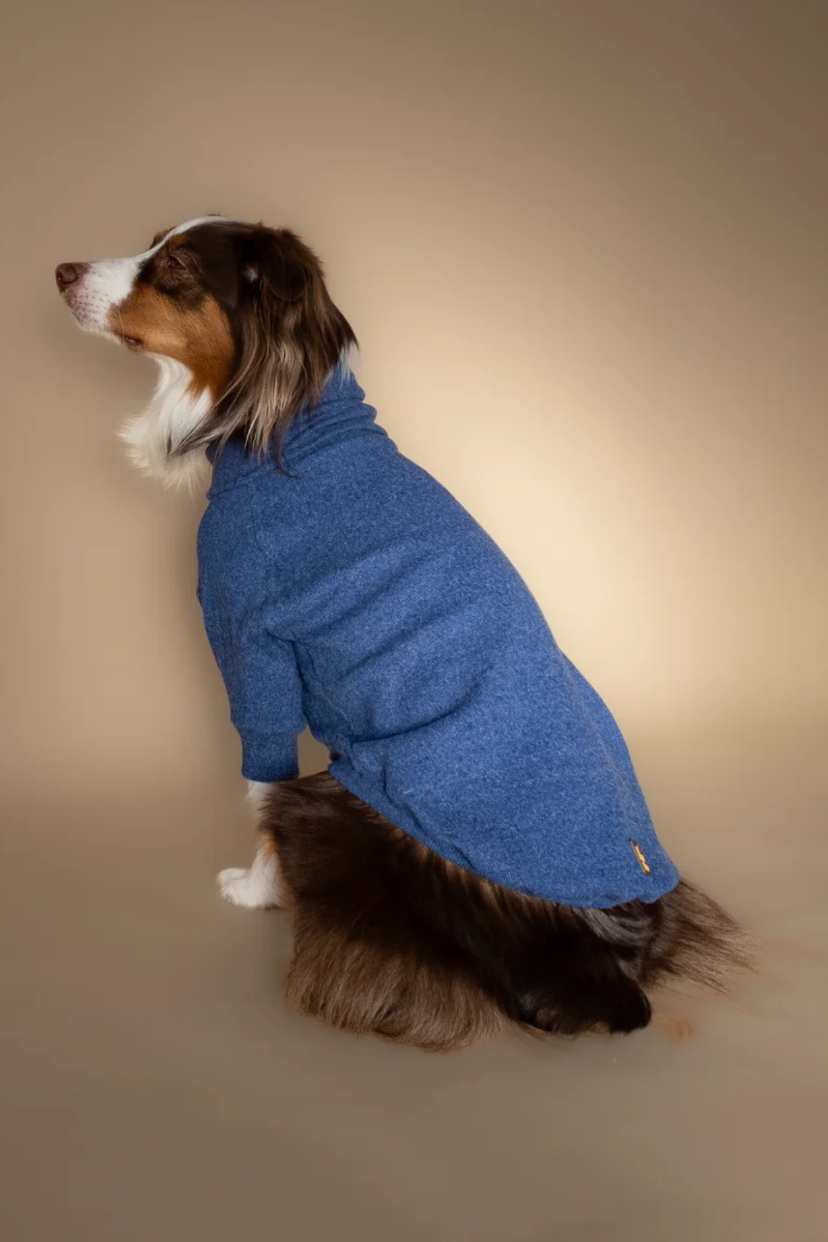 Asky&Erd Turtleneck | Harbor Blue