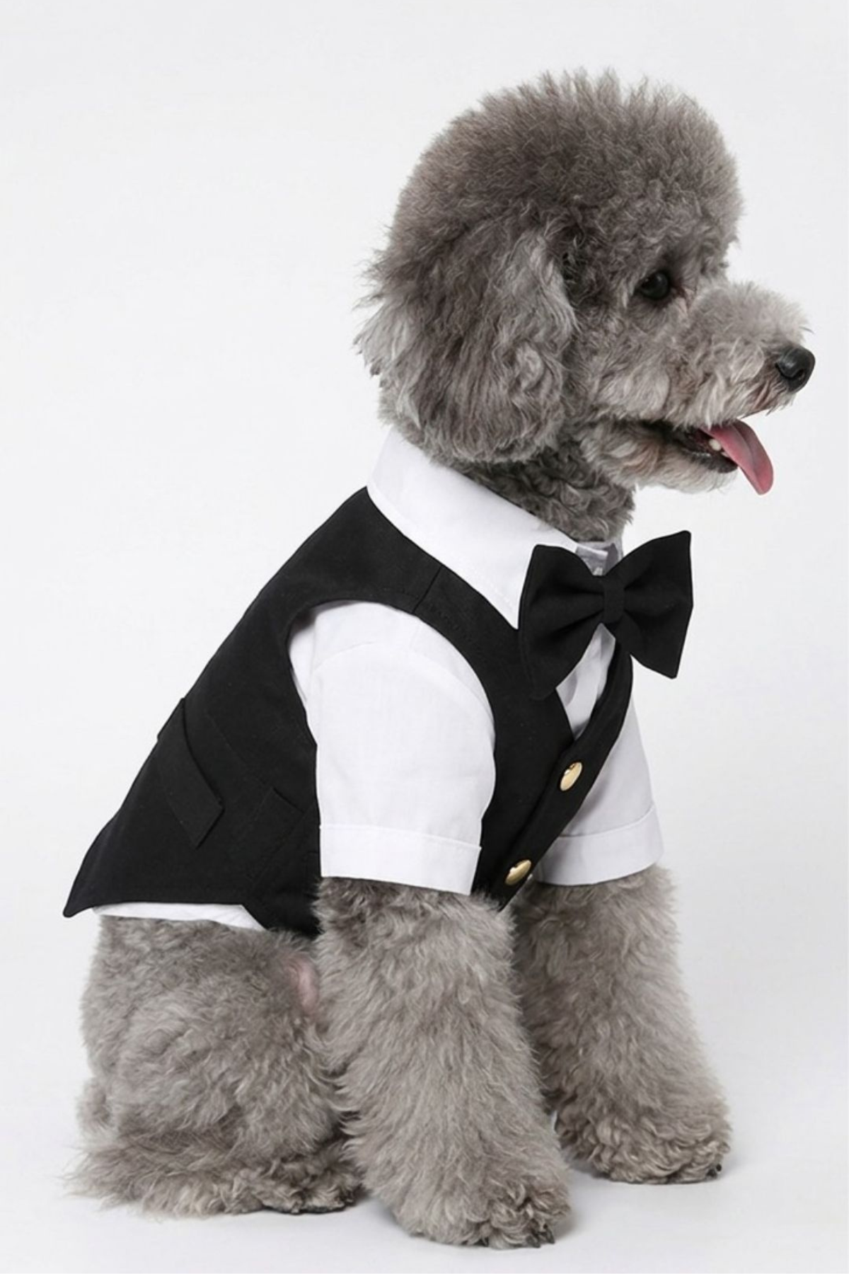 Doredog Papyonlu Köpek Damatlık