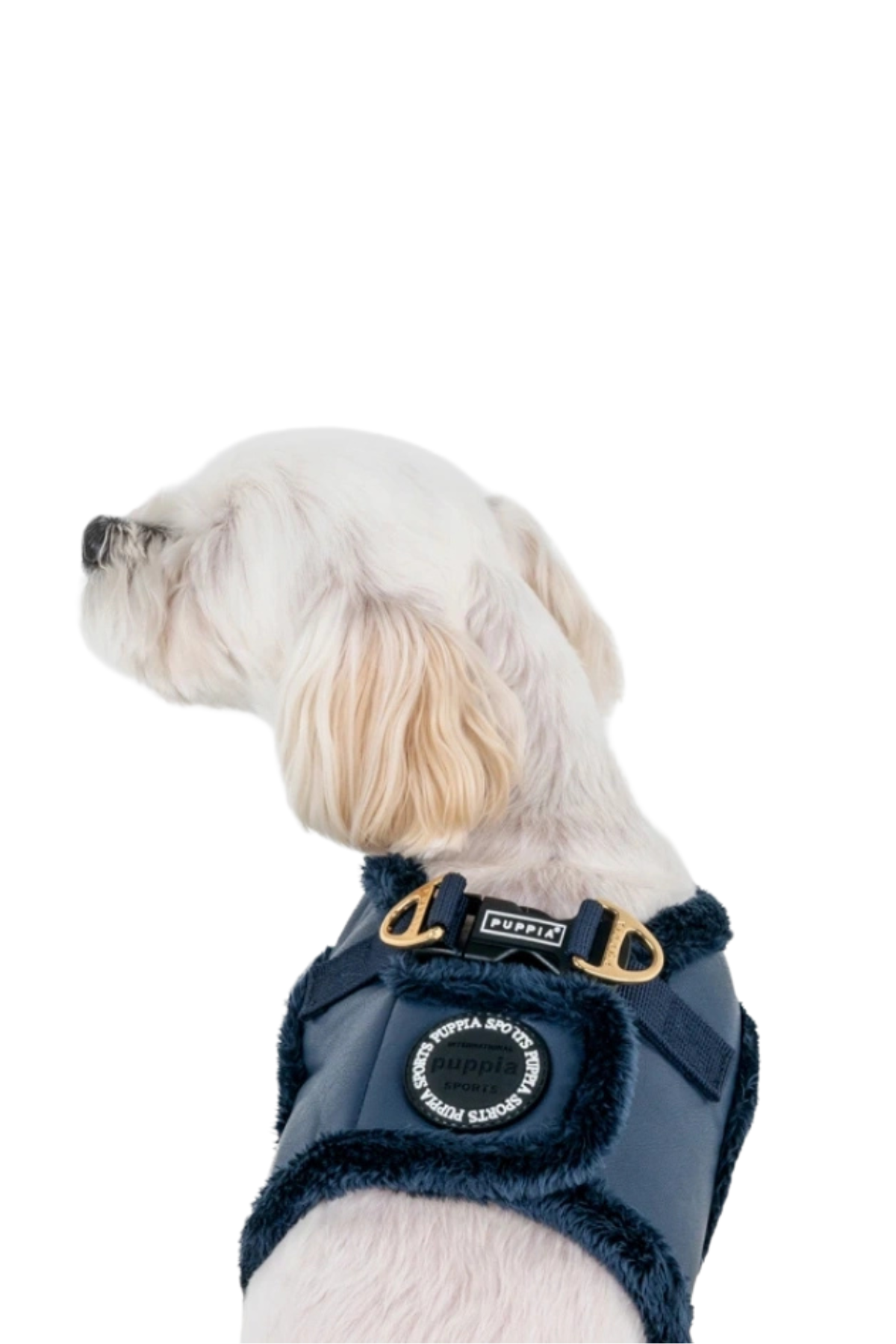 Puppia Wynter Harness B Köpek Göğüs Tasması - Lacivert