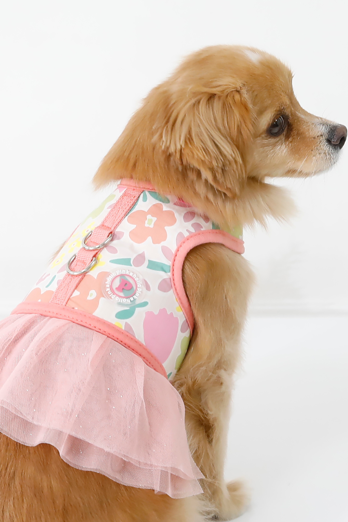 Pinkaholic New York Evanthe Flirt Harness Elbise Göğüs Tasması Pembe