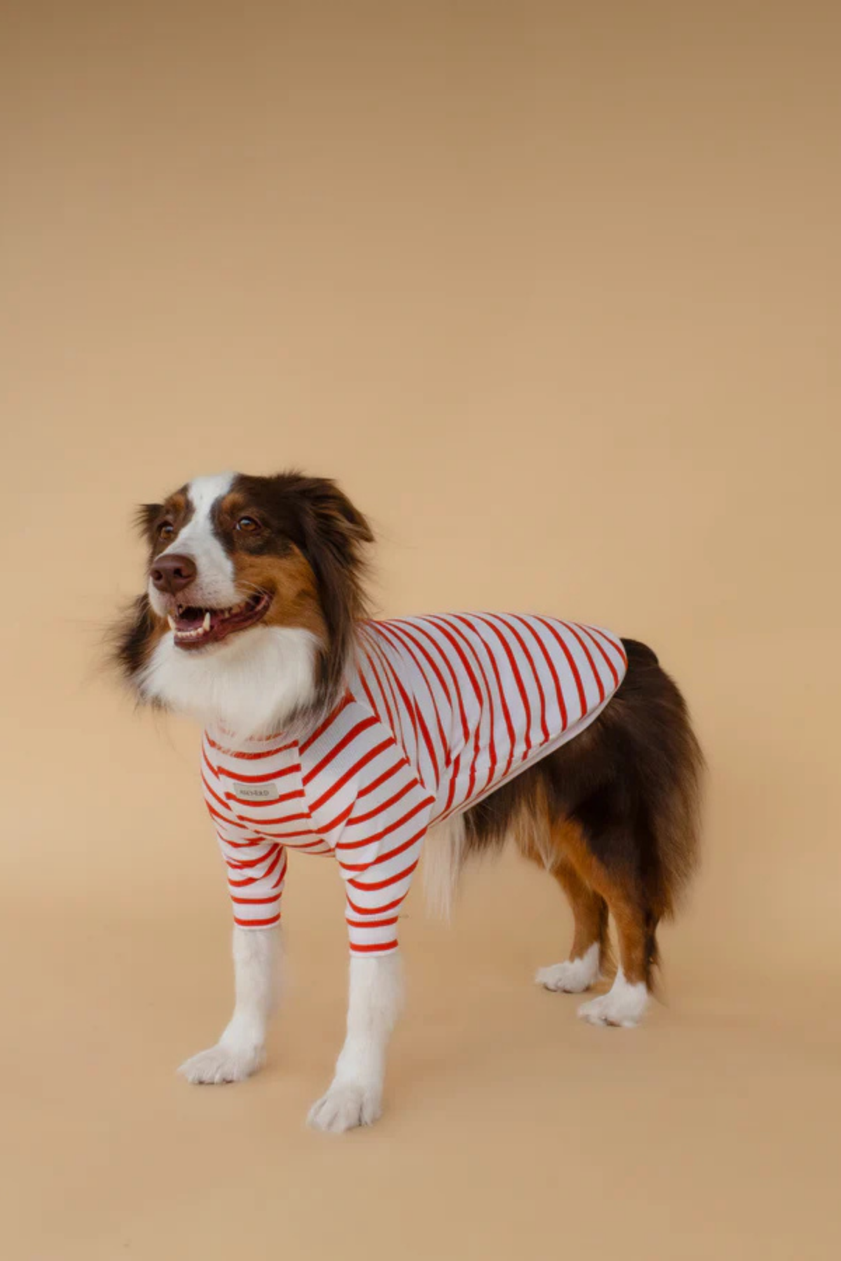 Asky&Erd Turtleneck Tshirt | Tangerine Stripe