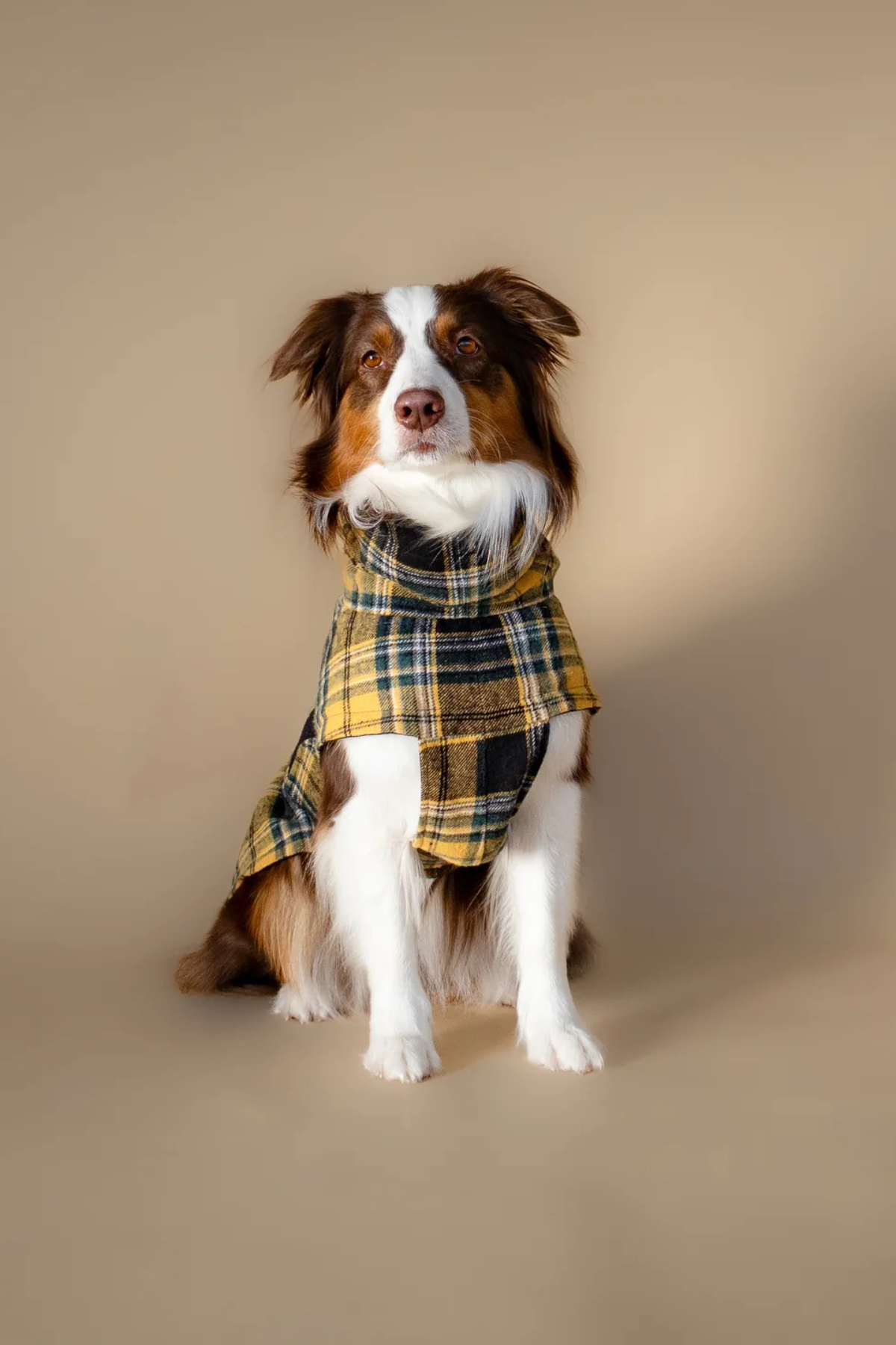 Asky&Erd Chicago Chicago Vest Golden Plaid