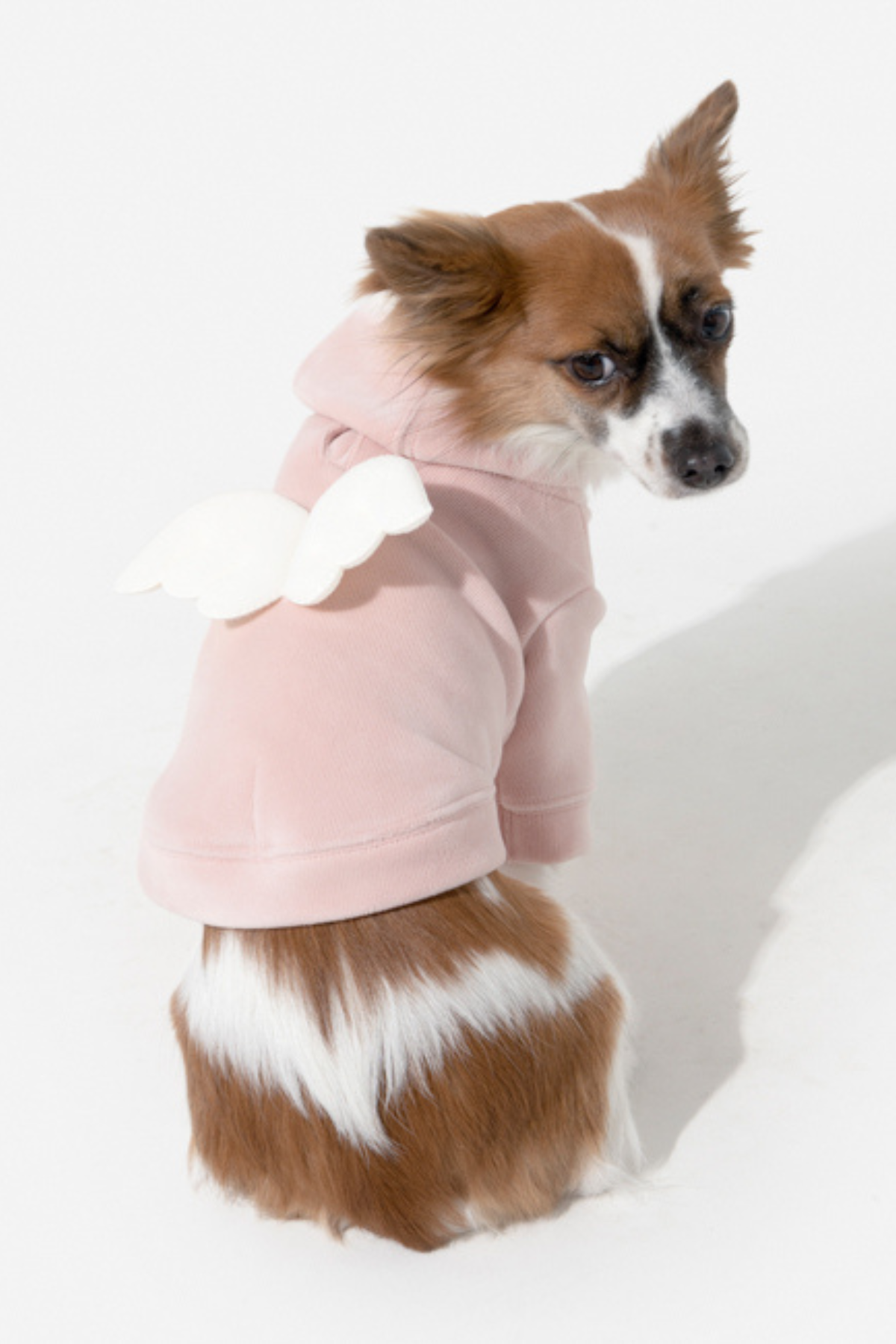 Puppia Peliah Köpek Sweatshirtü Pembe